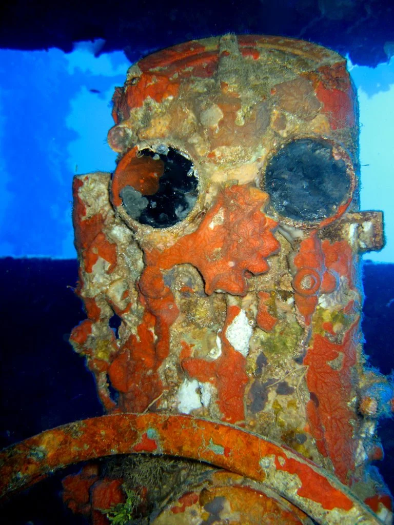 12 dive Nippo Maru-20(1).JPG