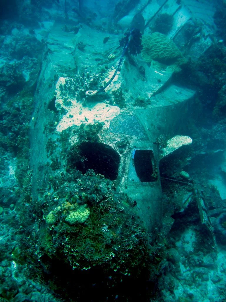 2 dive - Emily Flying Boat-22.JPG