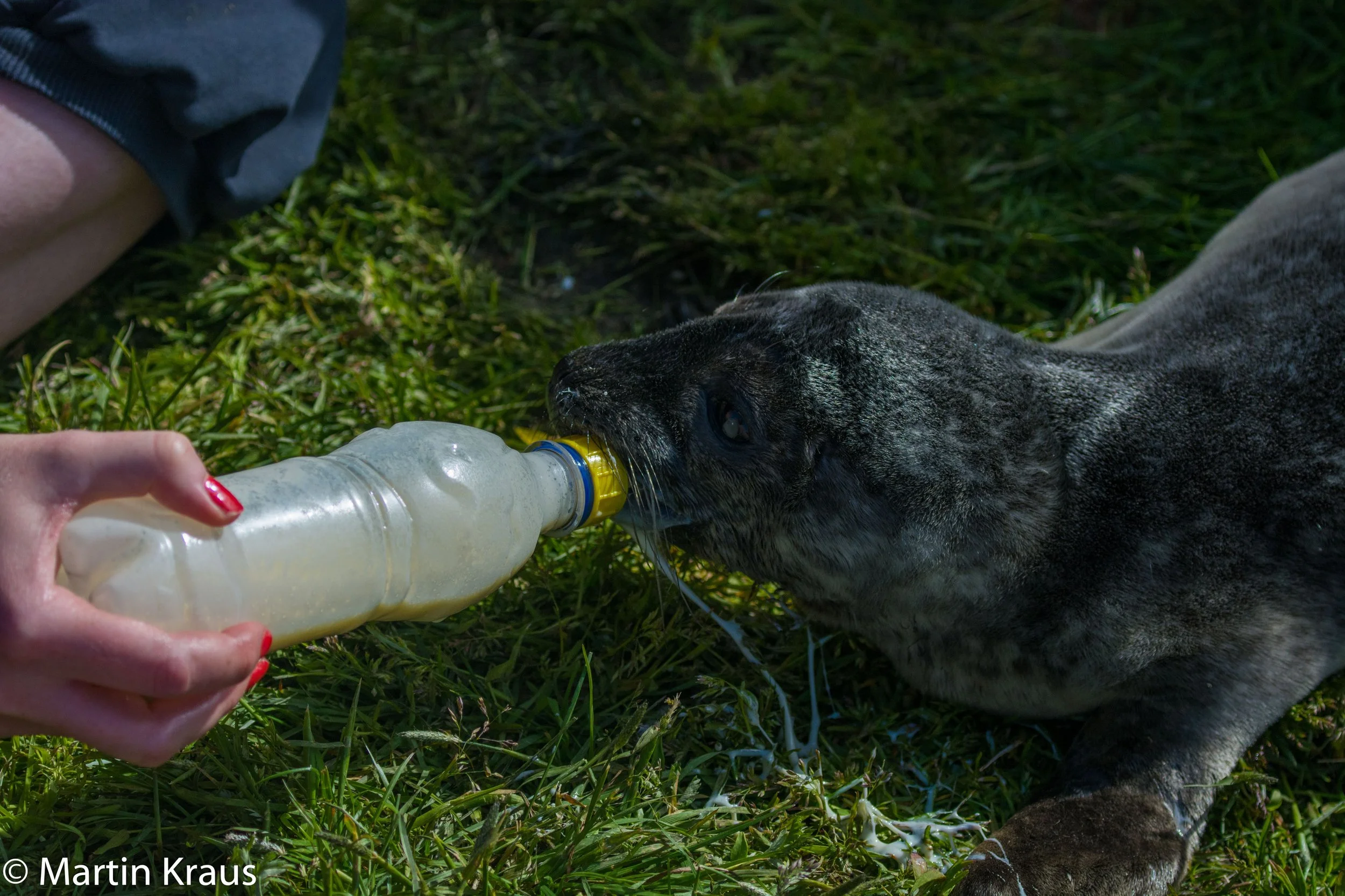 martin kraus-4132.jpg