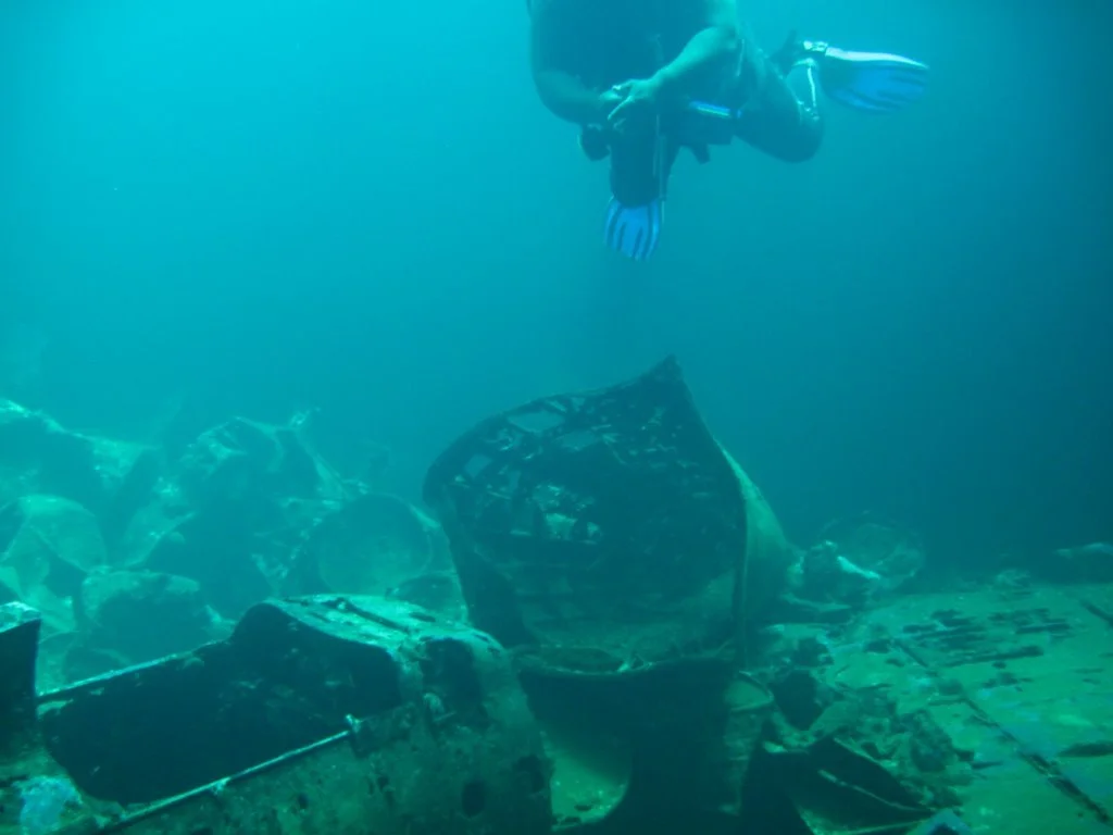 5 dive fujikawa maru-20.JPG