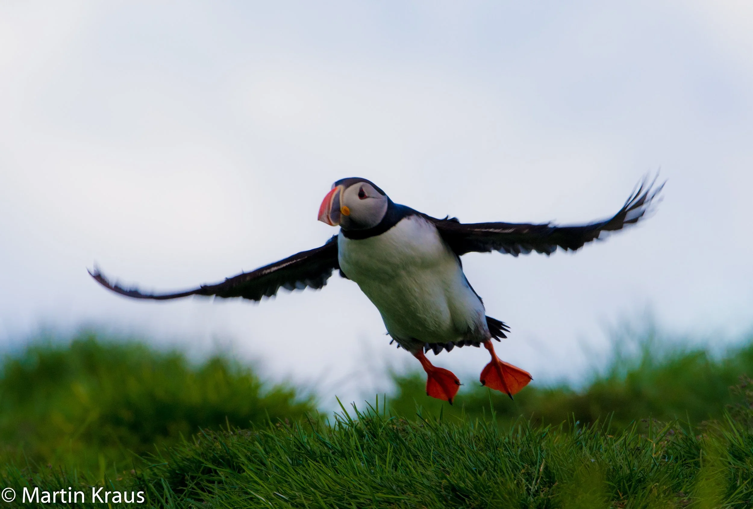 martin kraus-4056.jpg