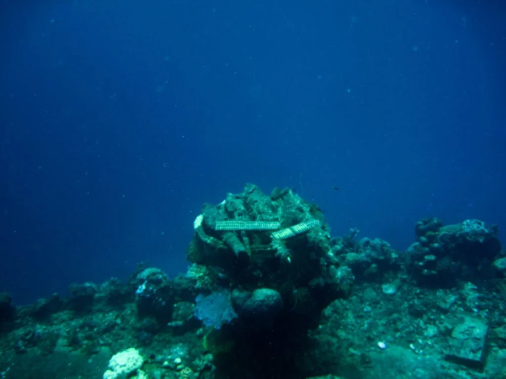 1 dive - sankisan maru - -22.JPG