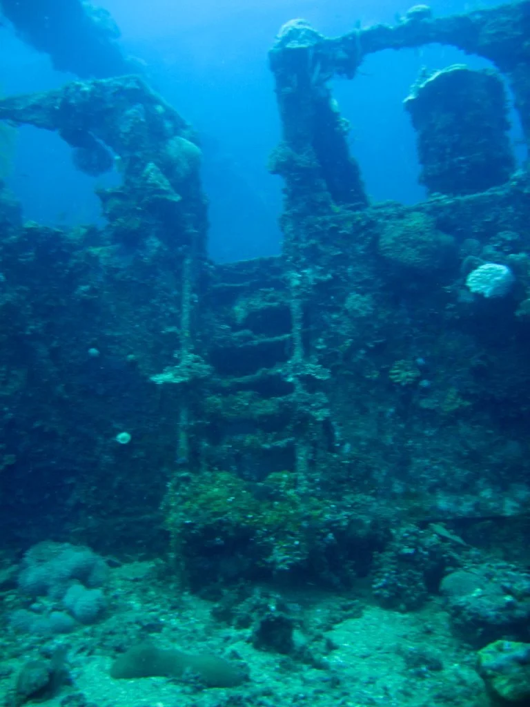 5 dive fujikawa maru-30(1).JPG