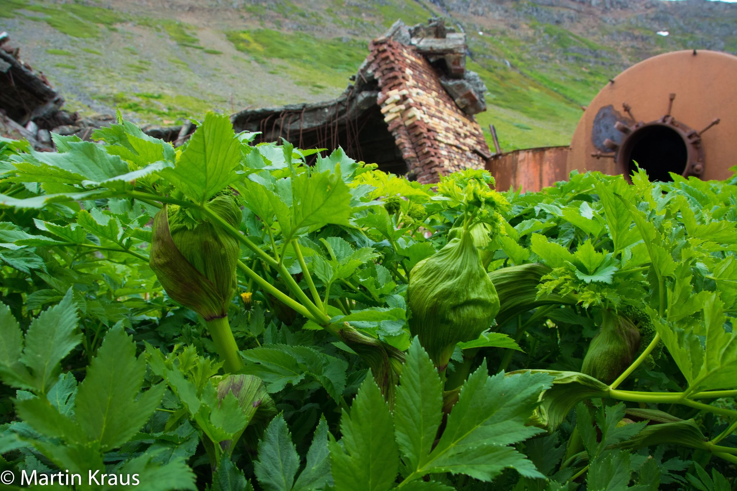 martin kraus-3694.jpg