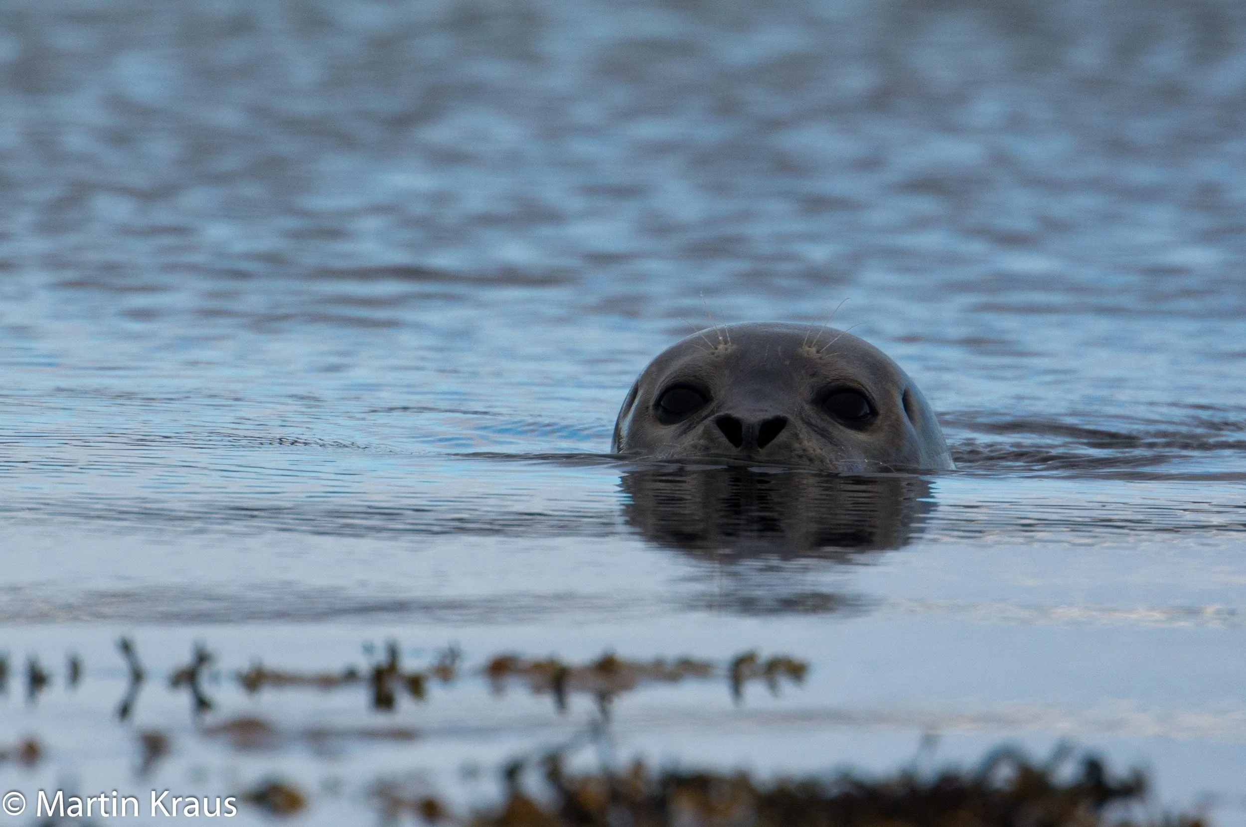 martin kraus-4037.jpg