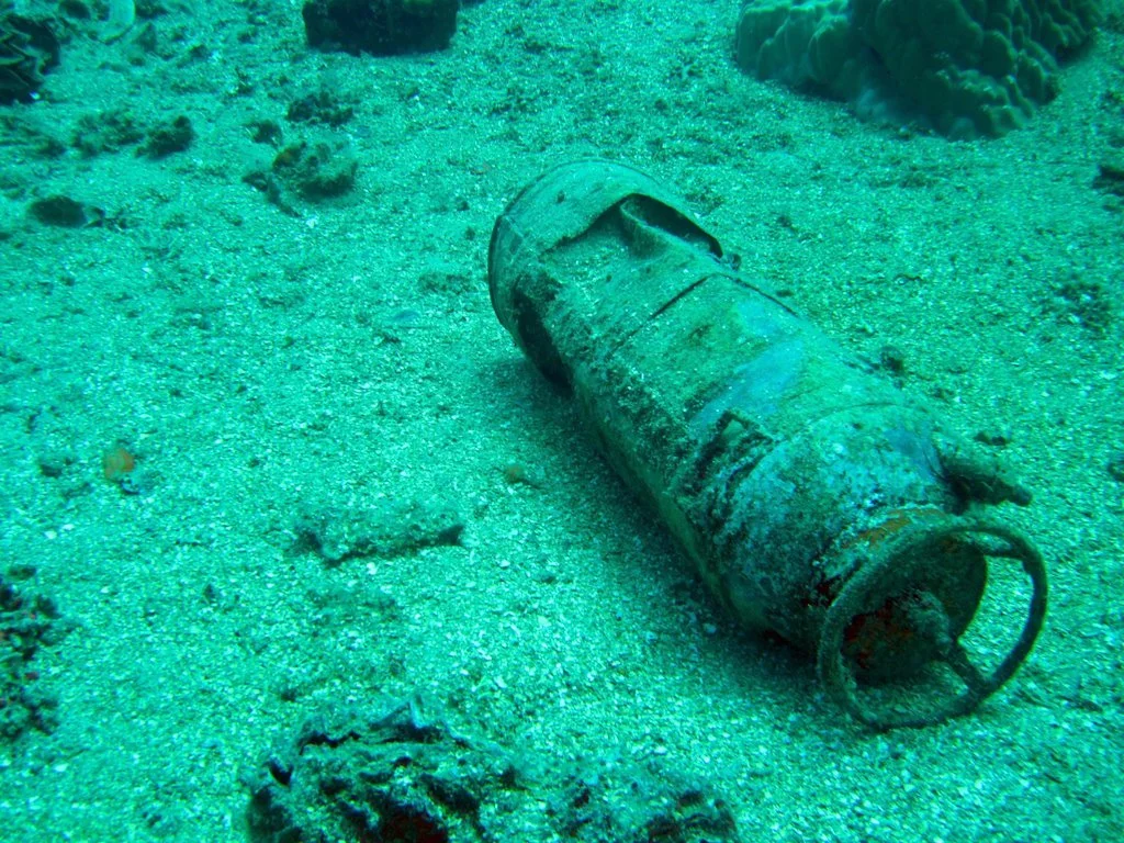 5 dive fujikawa maru-28.JPG