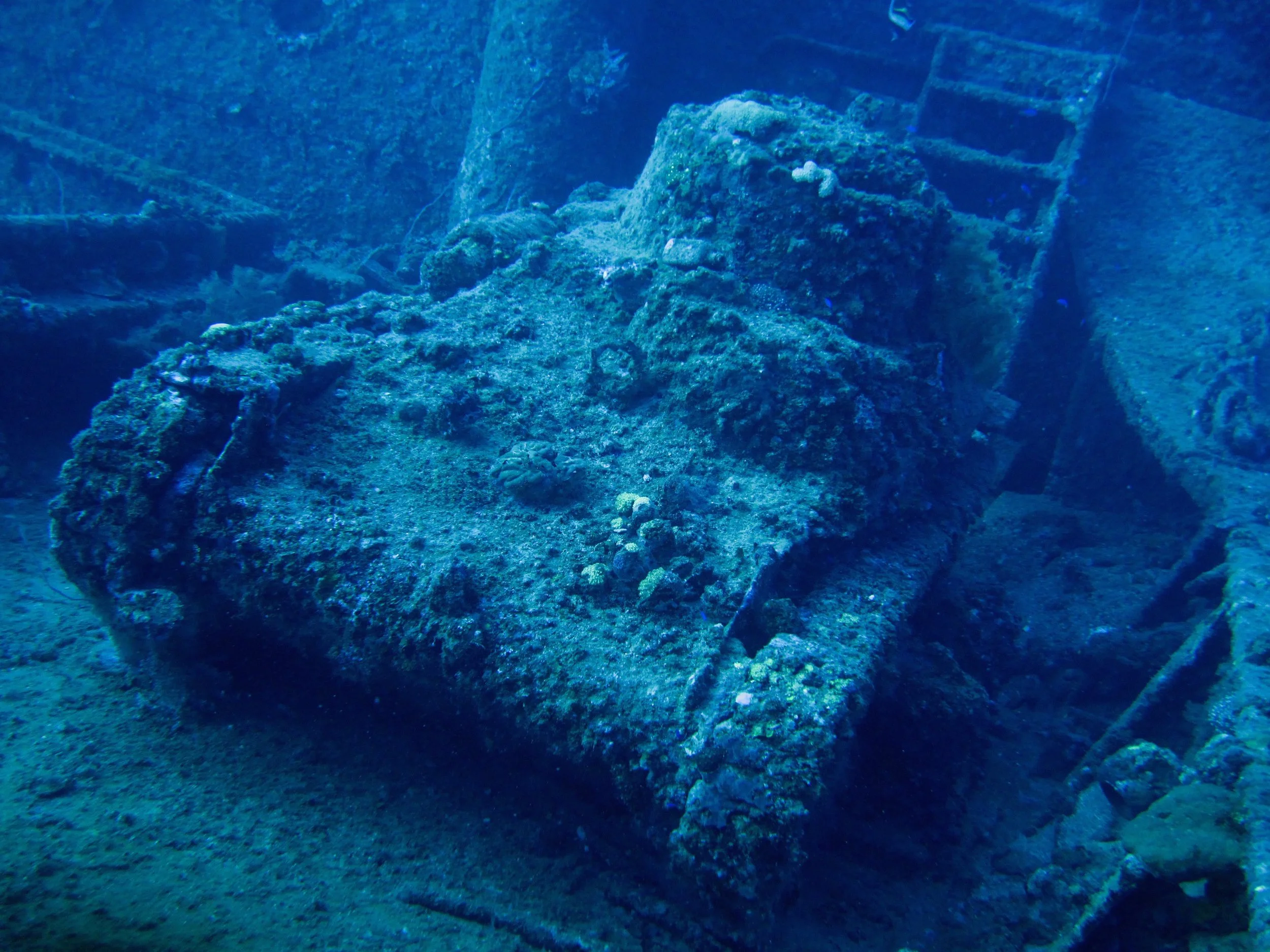 12 dive Nippo Maru-15.JPG