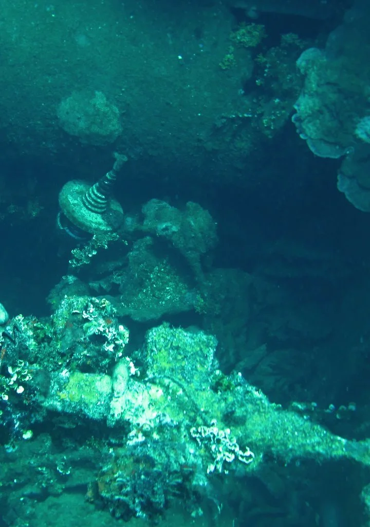 5 dive fujikawa maru-2.JPG