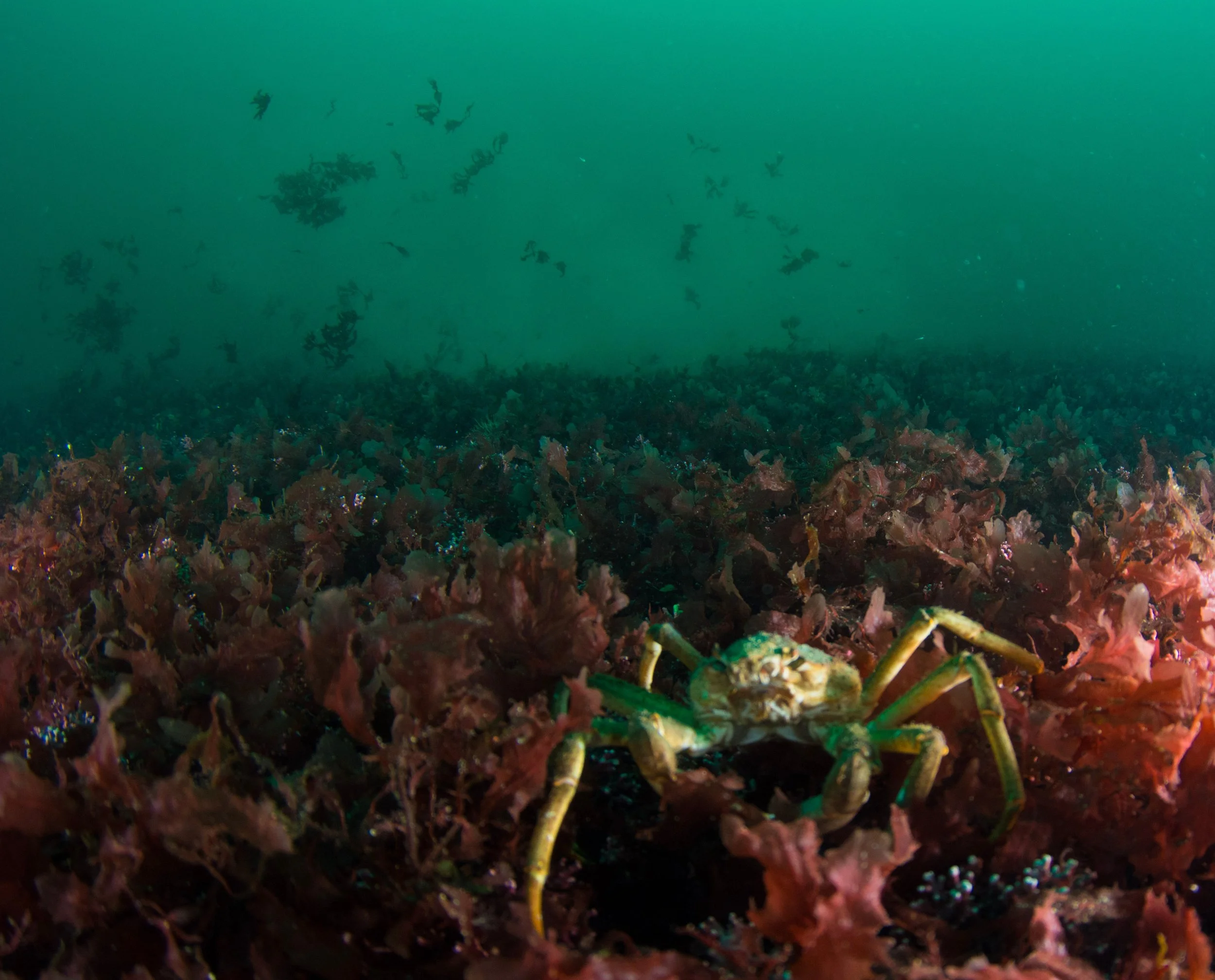 martin kraus-2284.jpg