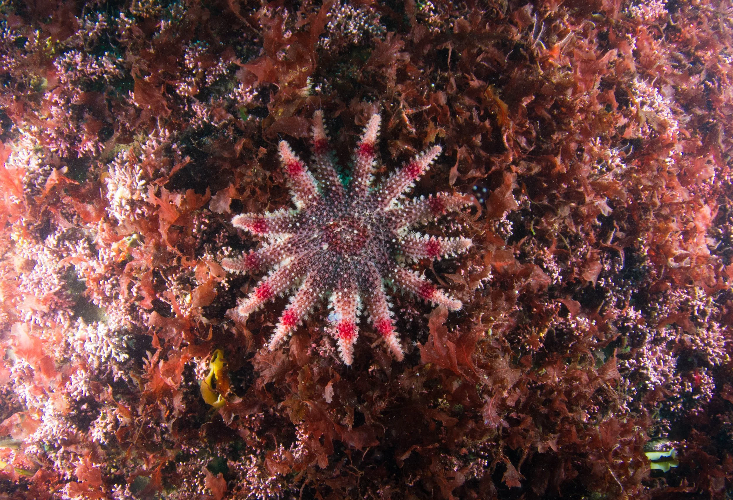 martin kraus-2280.jpg