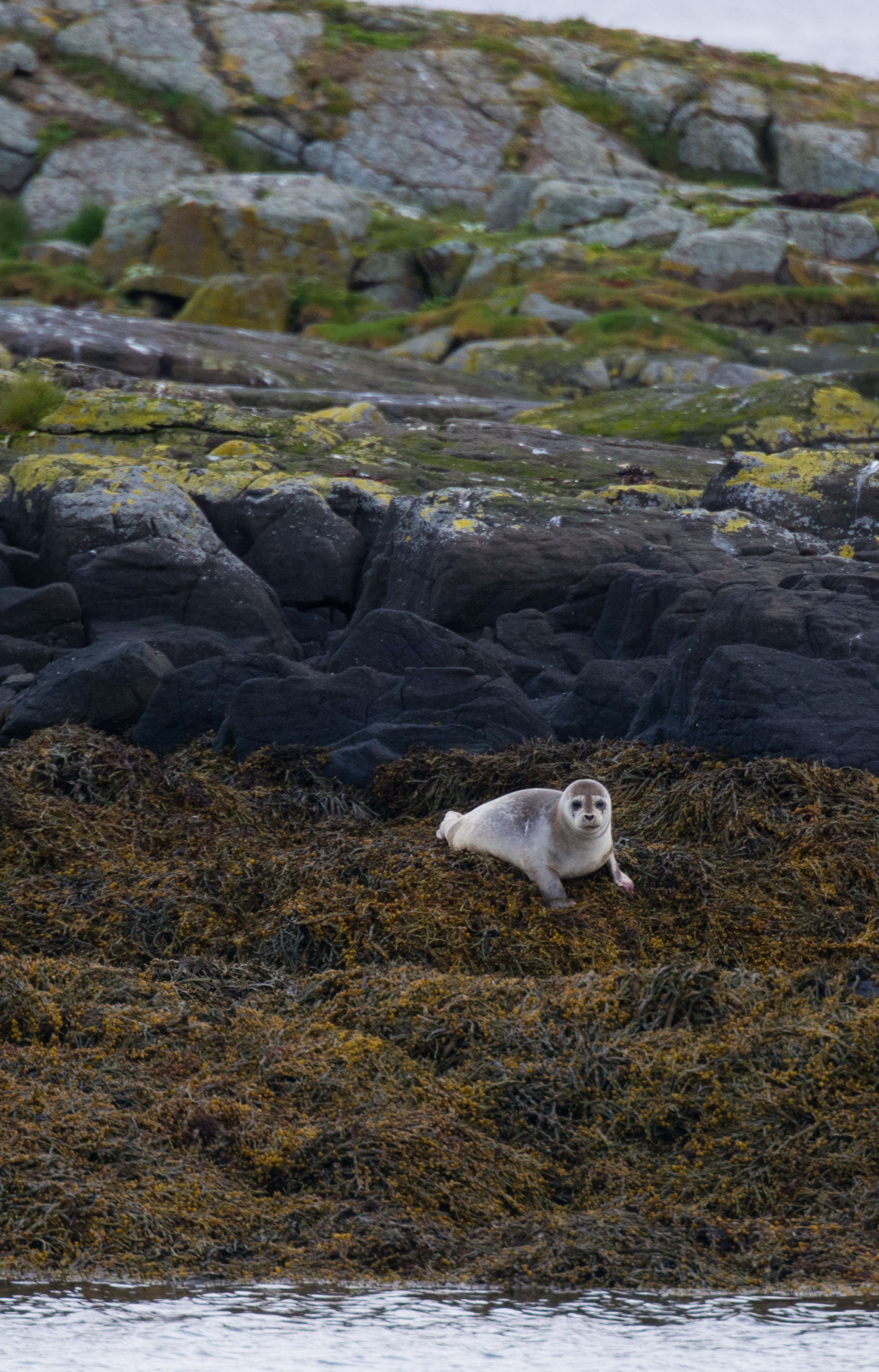 martin kraus-3899.jpg