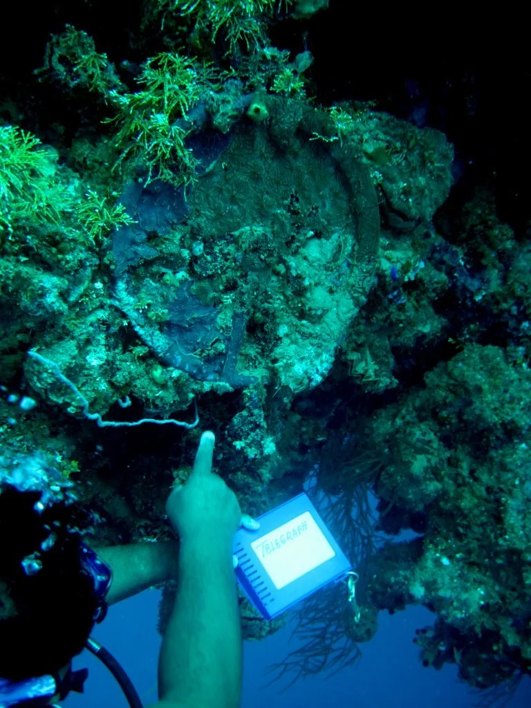 3 dive - Heian Maru-5.JPG