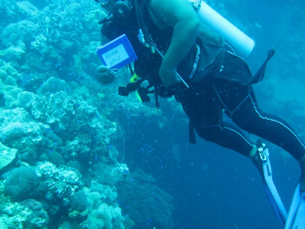 4 dive - yamagiri maru-26.JPG