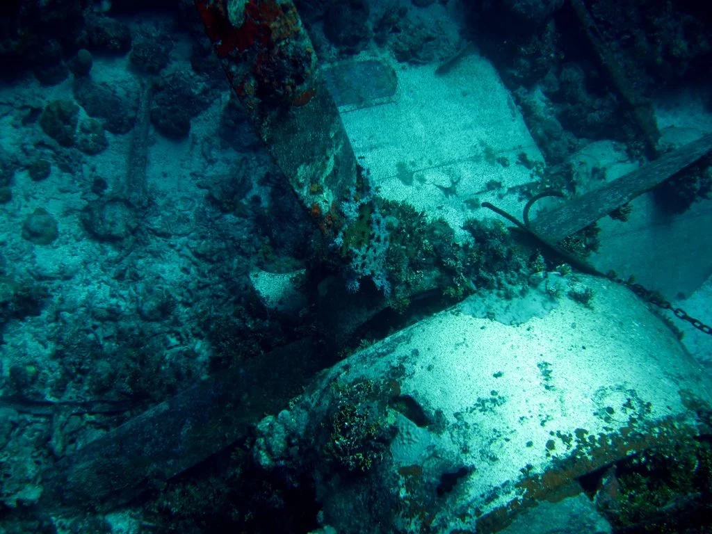 2 dive - Emily Flying Boat-13.JPG