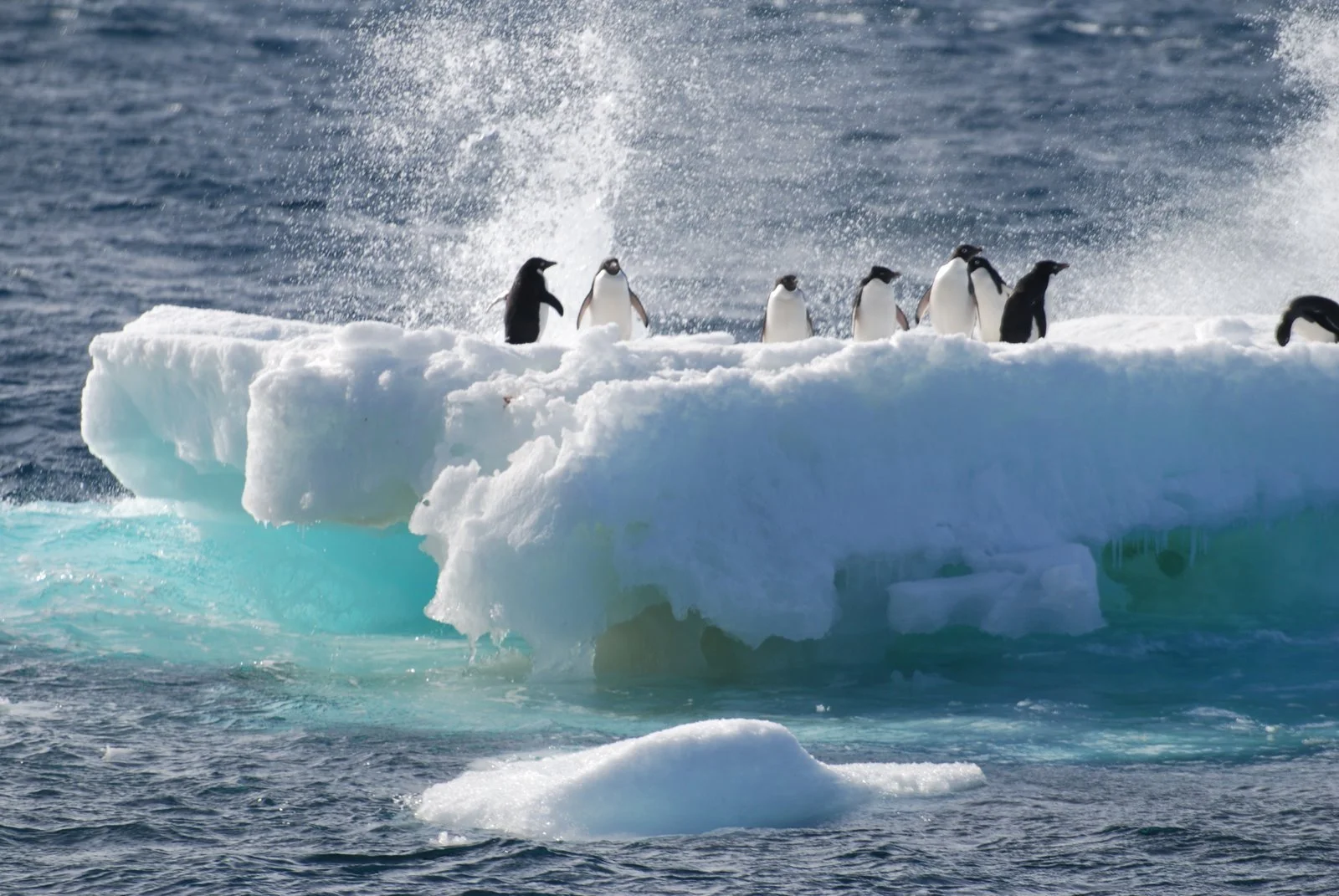 2007 Antartica
