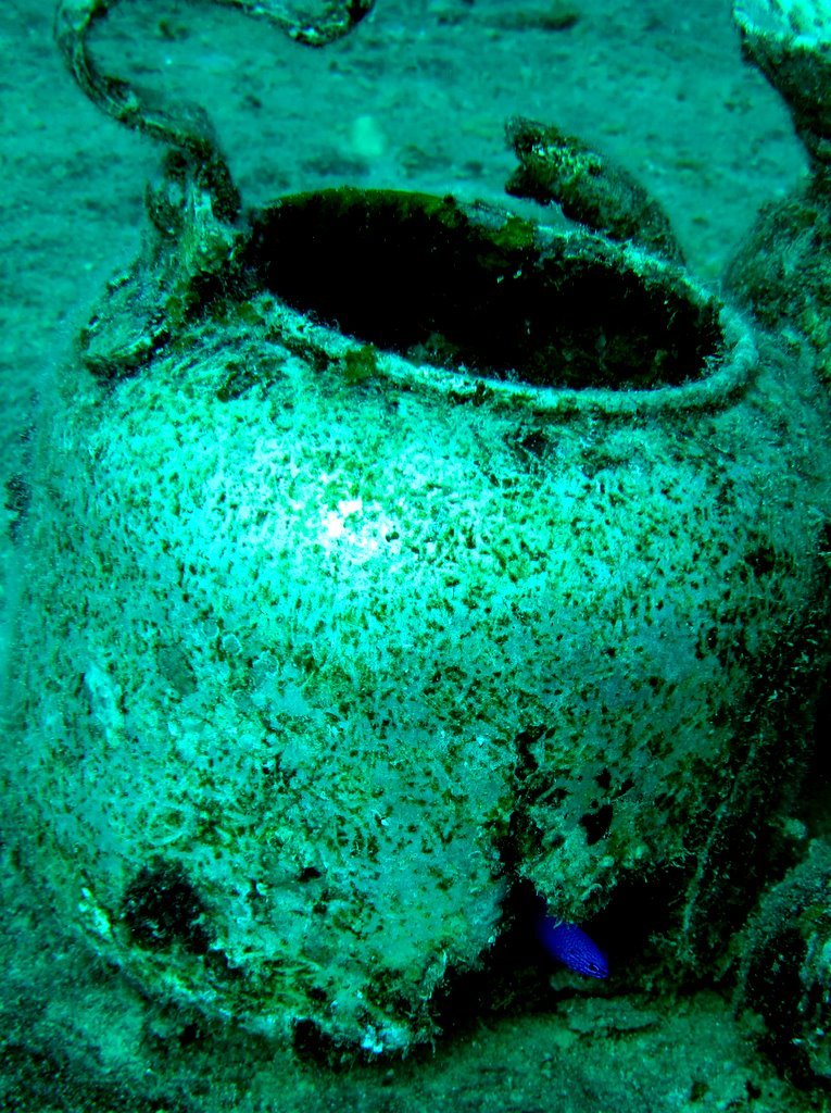 3 dive - Heian Maru-30.JPG