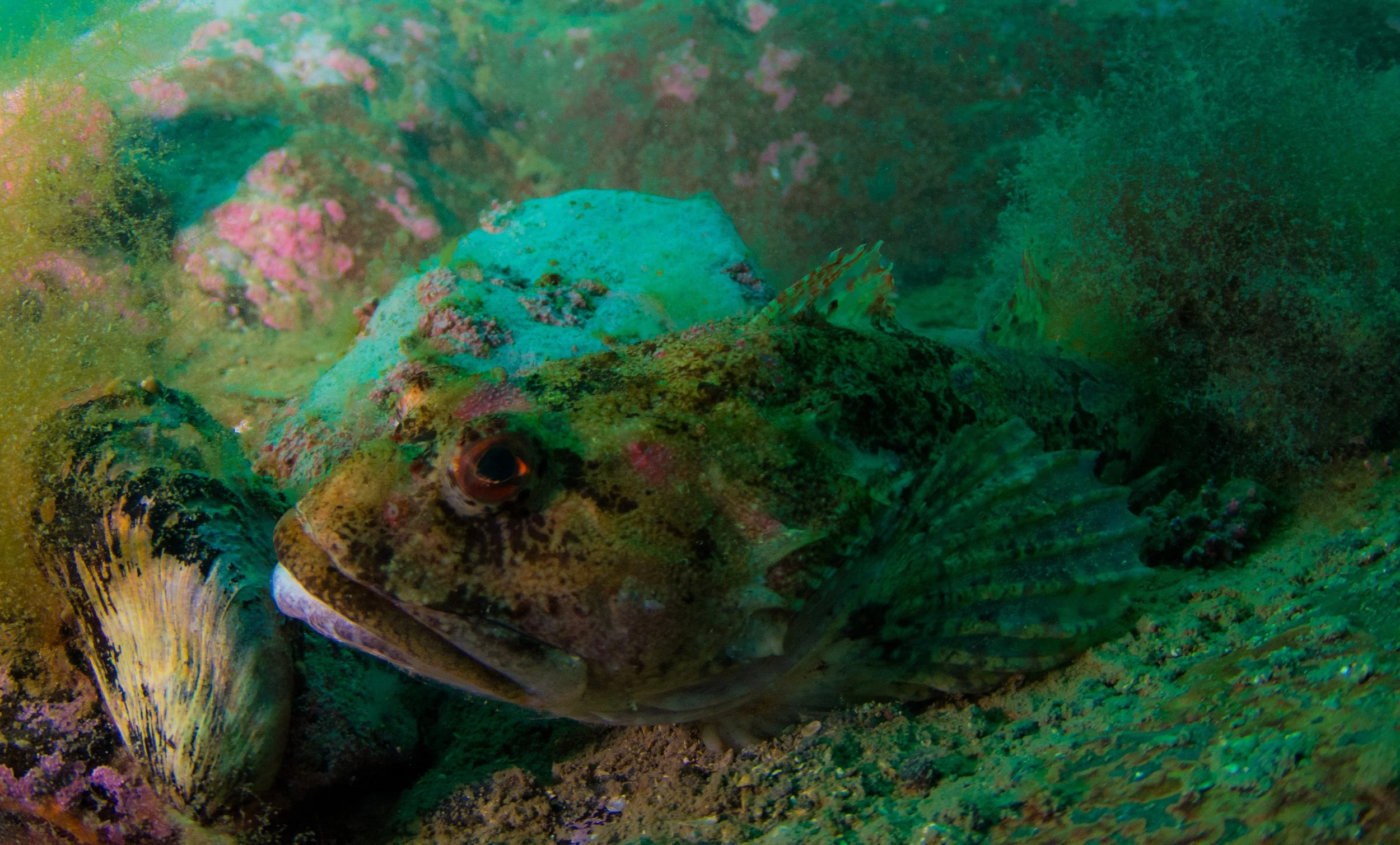 martin kraus-2224.jpg