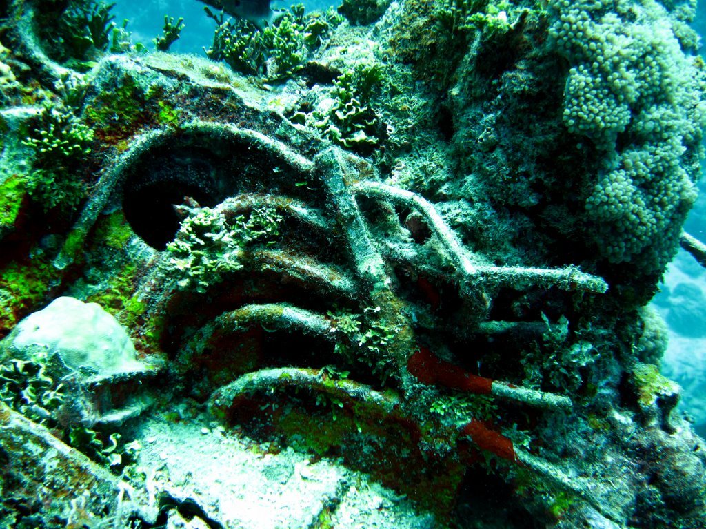 2 dive - Emily Flying Boat-87.JPG