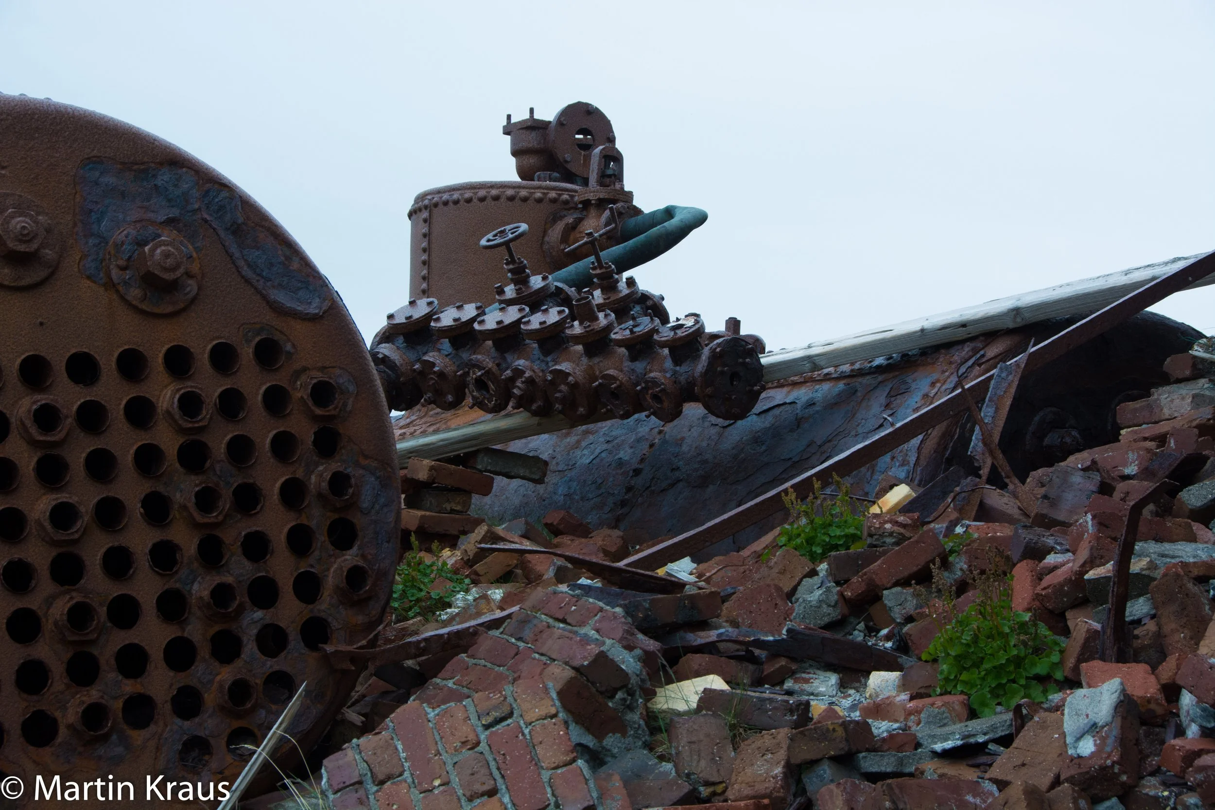 martin kraus-3677.jpg