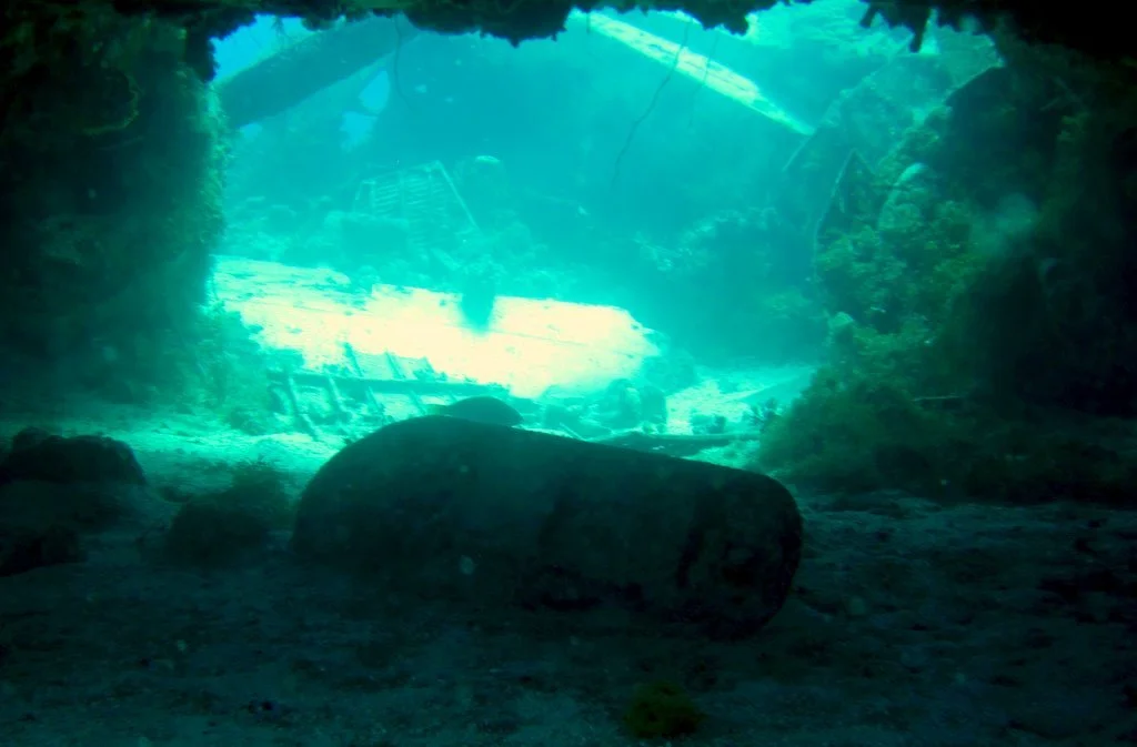 2 dive - Emily Flying Boat-7.JPG