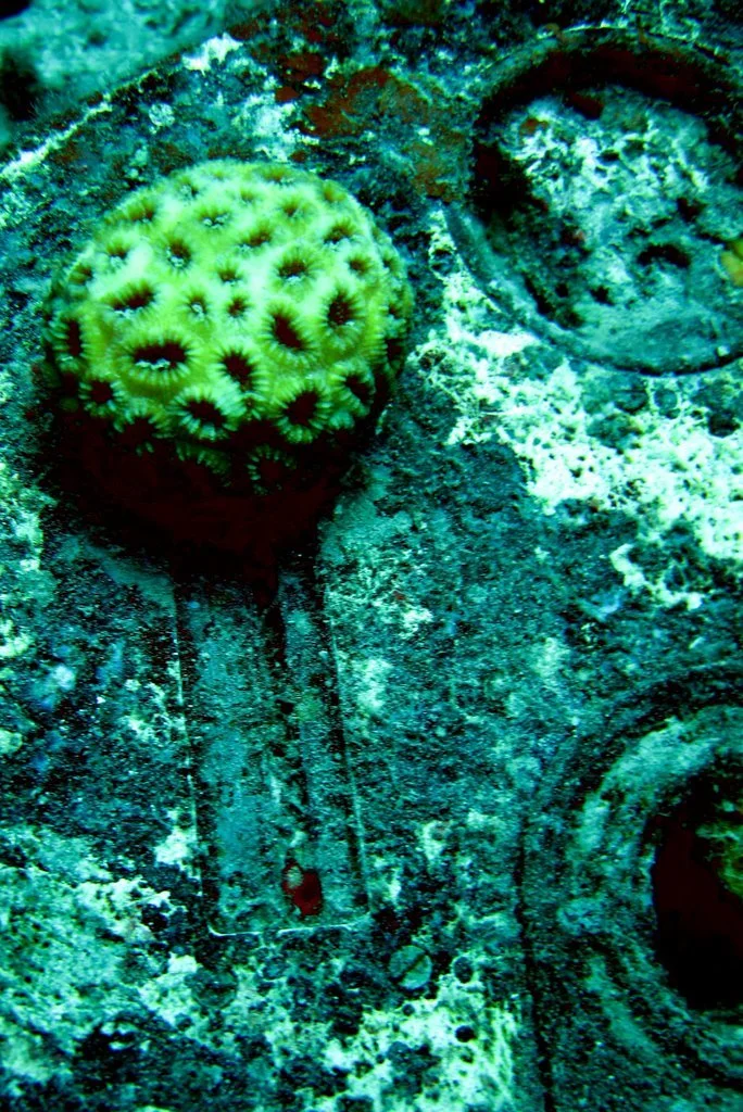 2 dive - Emily Flying Boat-54.JPG