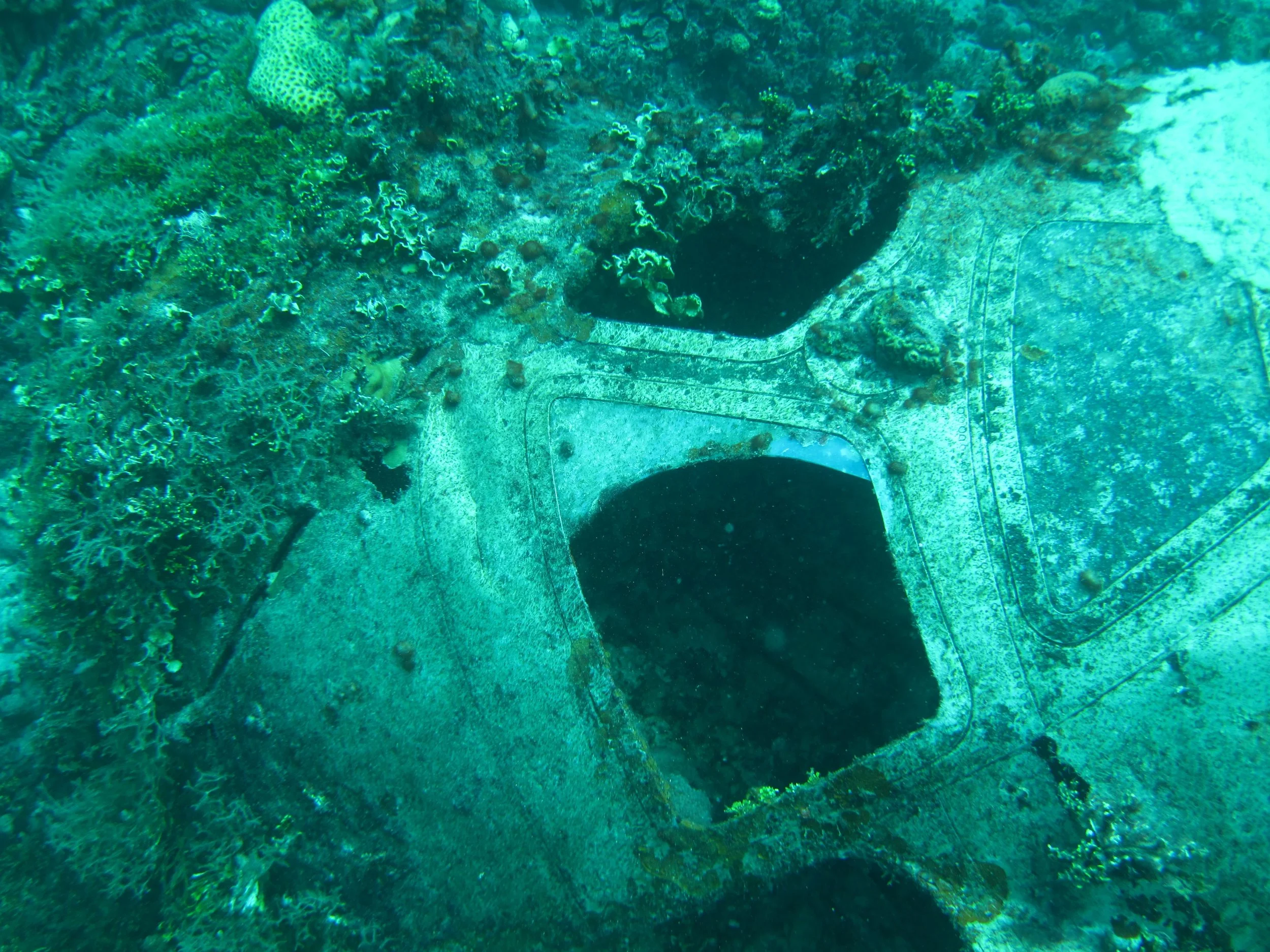 2 dive - Emily Flying Boat-21.JPG