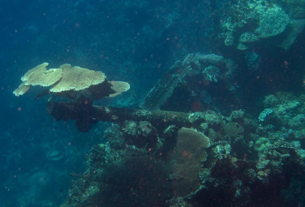 gun ship - snorkel-8.JPG