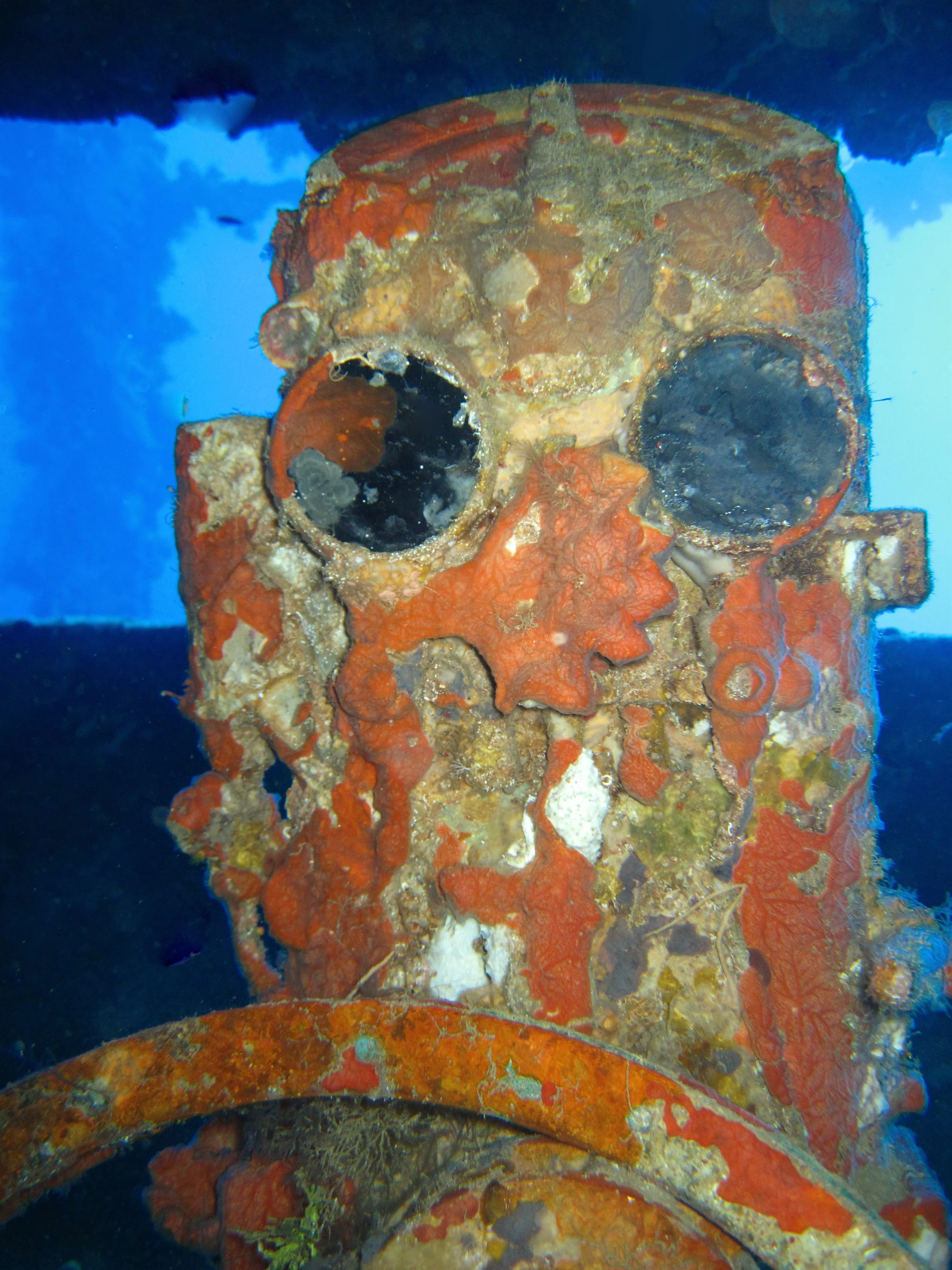 12 dive Nippo Maru-20.JPG