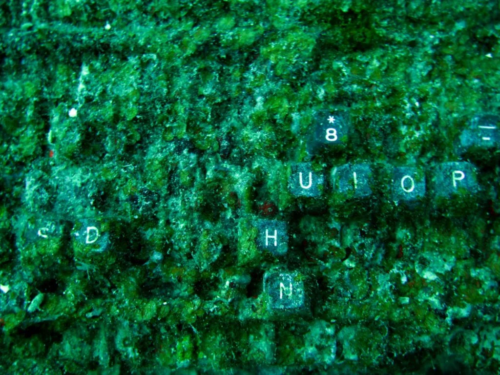 6 dive - Kansho Maru-8.JPG