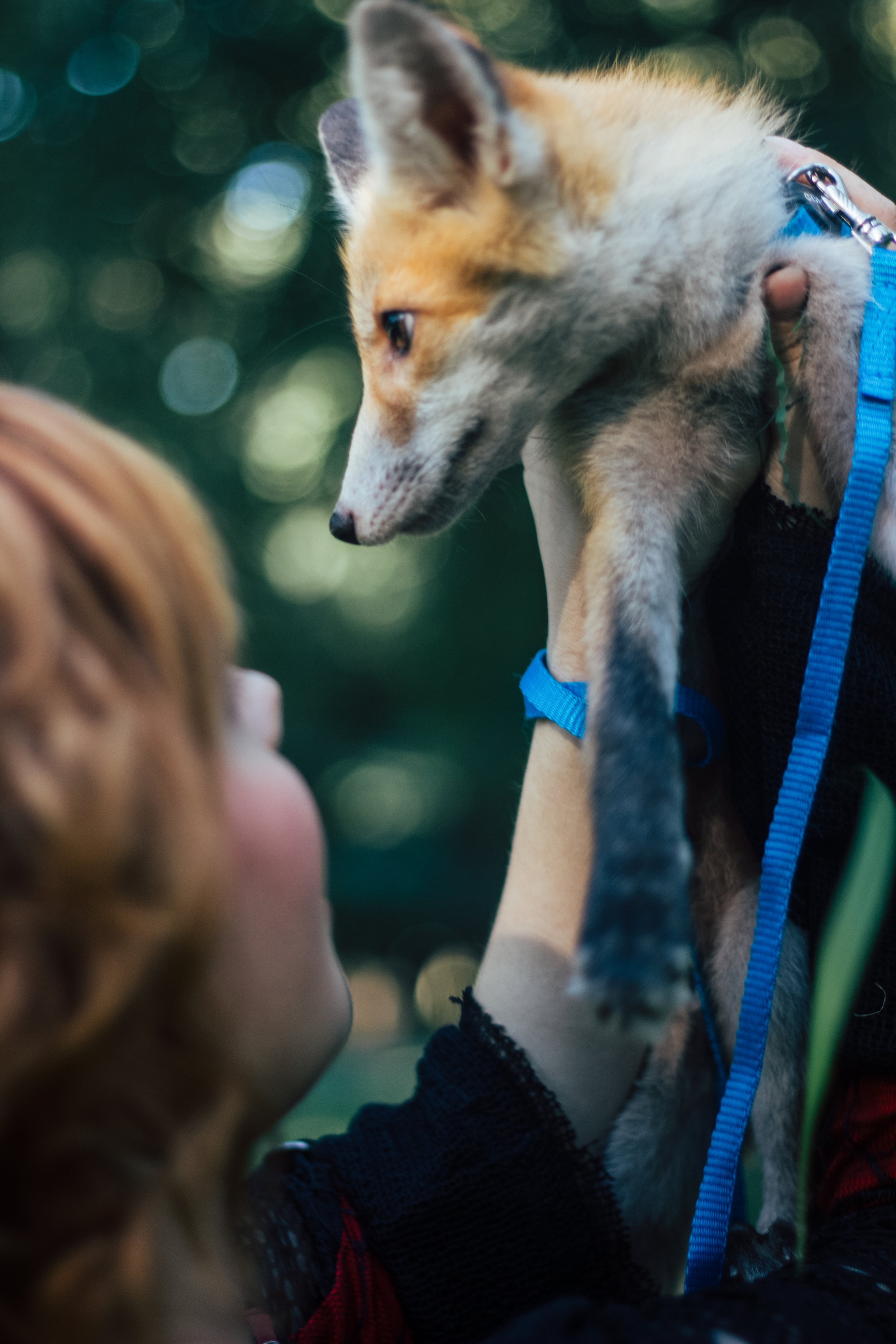 Canon EOS 60D1561.jpg