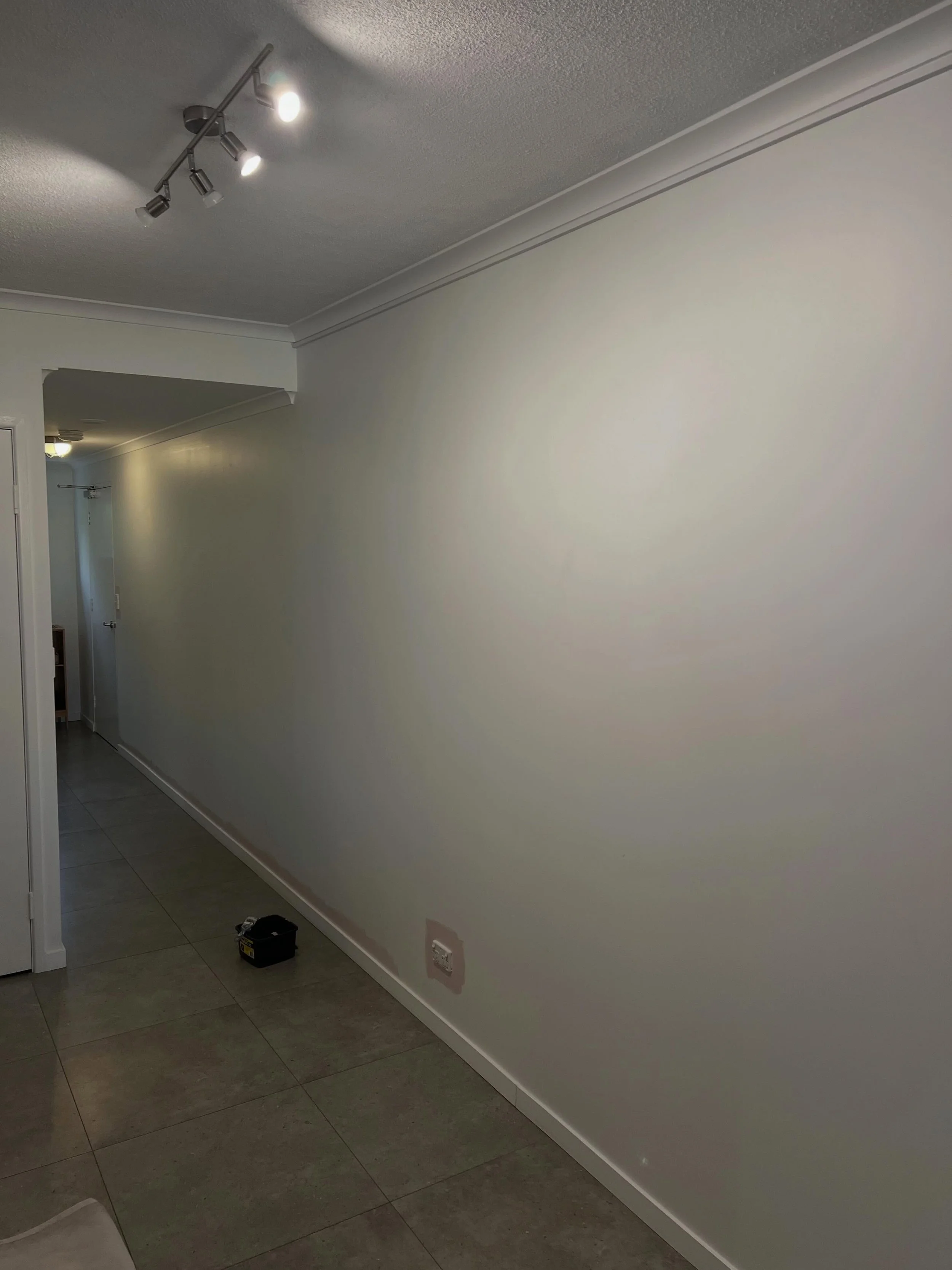 Did some more renos at home yesterday. Transforming our hallway from something boring and white to something more fun. Also did my @pushforbetter pushup challenge fundraiser for mental health in between painting.

#handymanservices #handymanbrisbanes