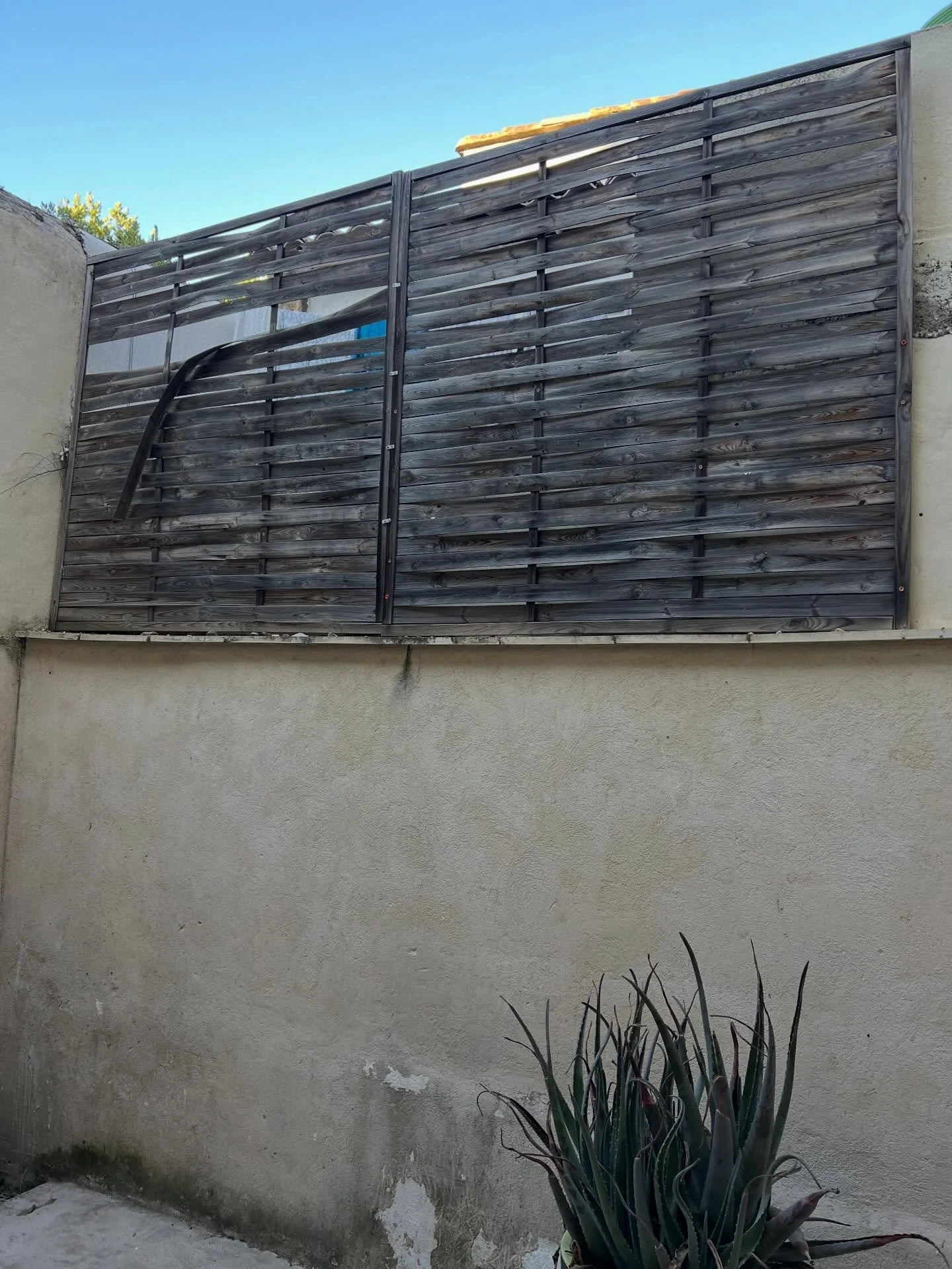 Before and after. Changed our sad looking fence in our courtyard. 4m high so even I (6,2 ft) had to stretch a little when working on the ladder! Had some great help from my wife. It came up good though in the end I reckon.