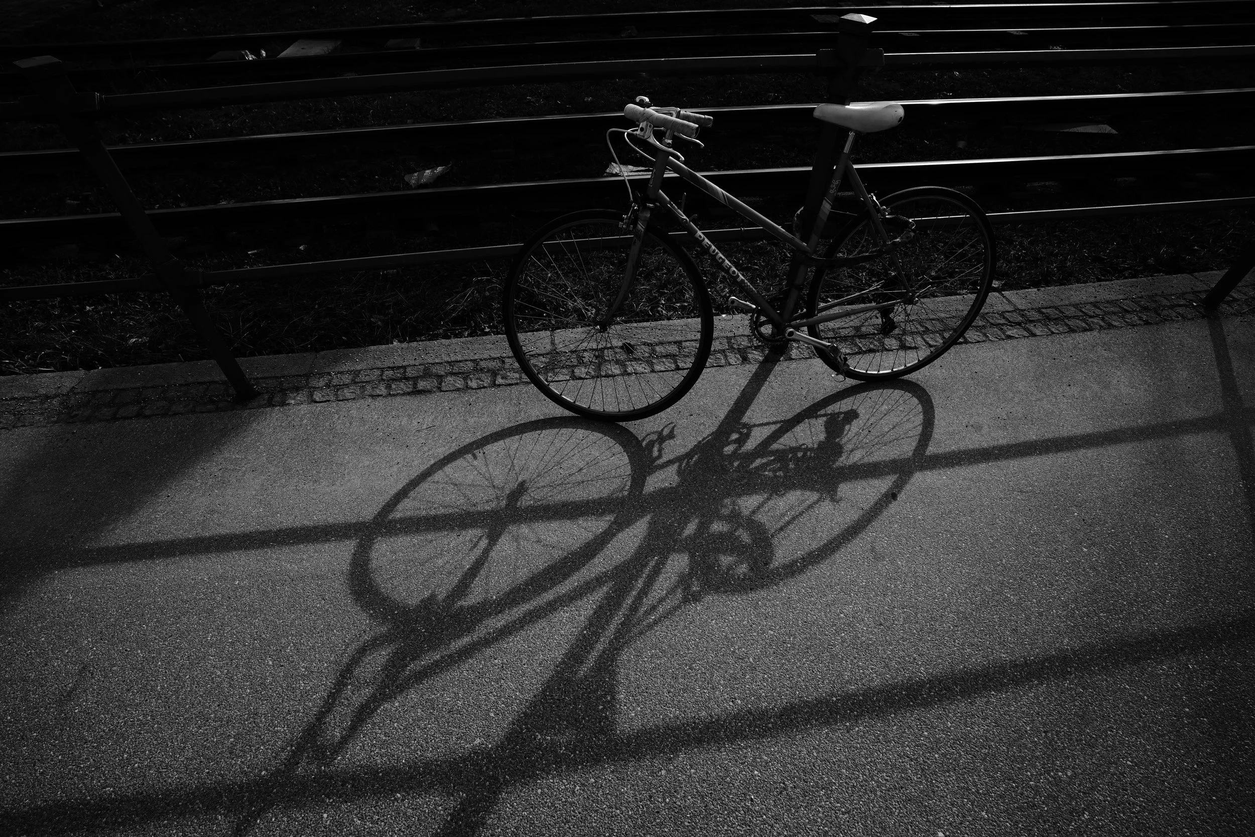 Ein Fahrrad steht an einer Metallabsperrung auf einem Gehweg, die Schatten des Fahrrads sind sichtbar auf dem Boden. Das Bild ist in Schwarz-Weiß gehalten.