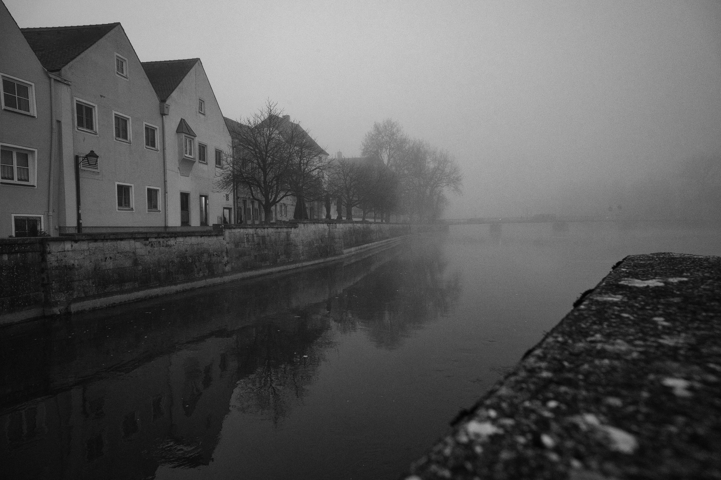 Schwarz-weiß-Foto einer nebligen Stadt am Fluss mit Häusern und Bäumen, See- oder Flussufer im Vordergrund.