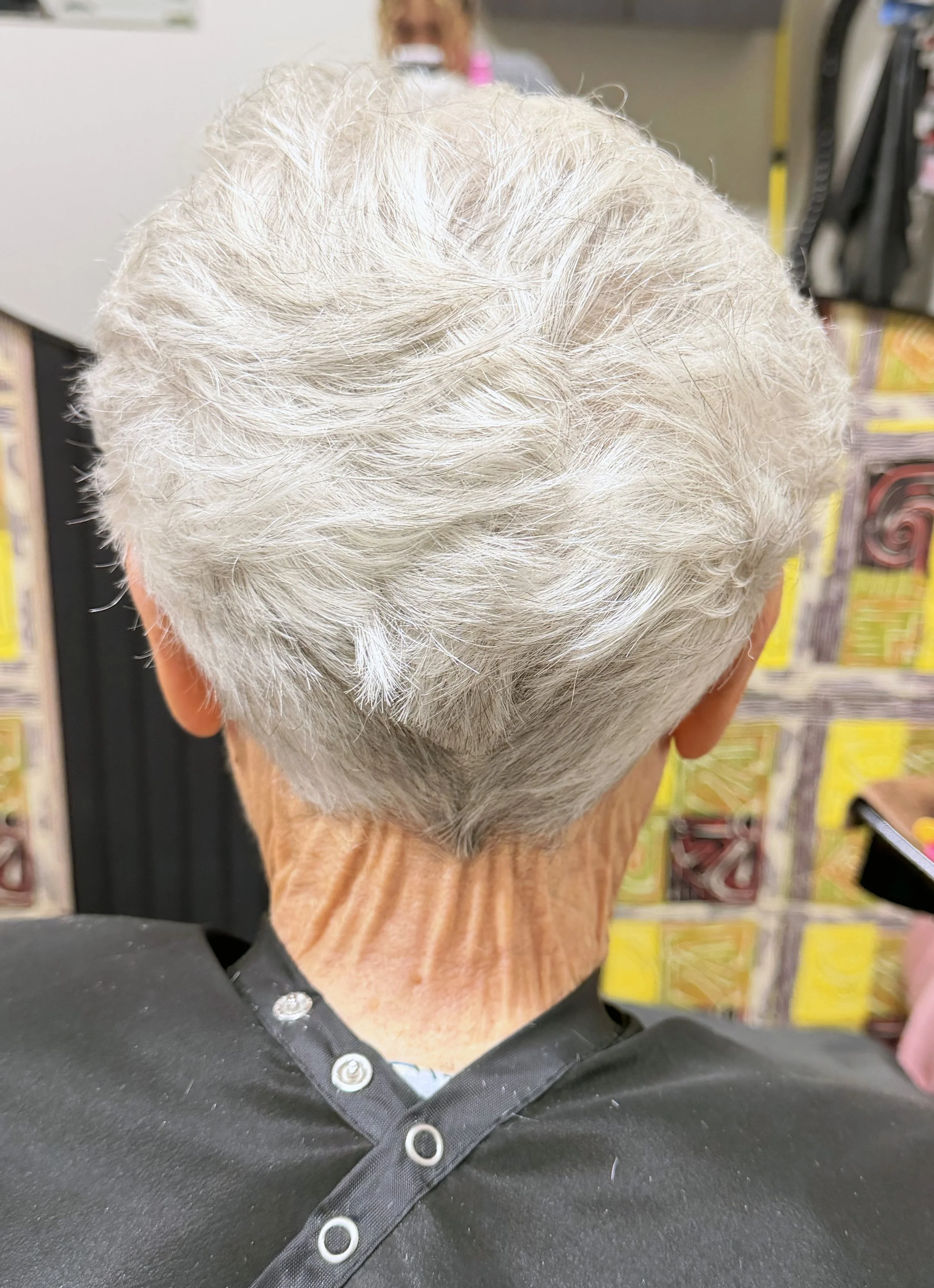 gray hair back.jpg