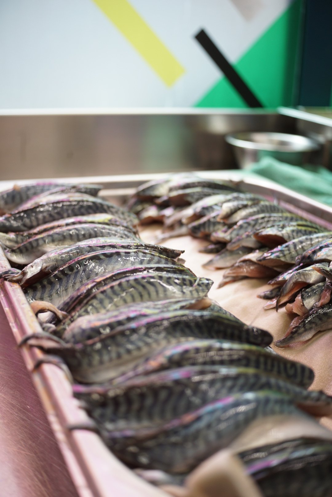 A tray of fresh mackerel fish arranged in rows at a market or seafood store.