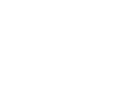 Physio with Irwin