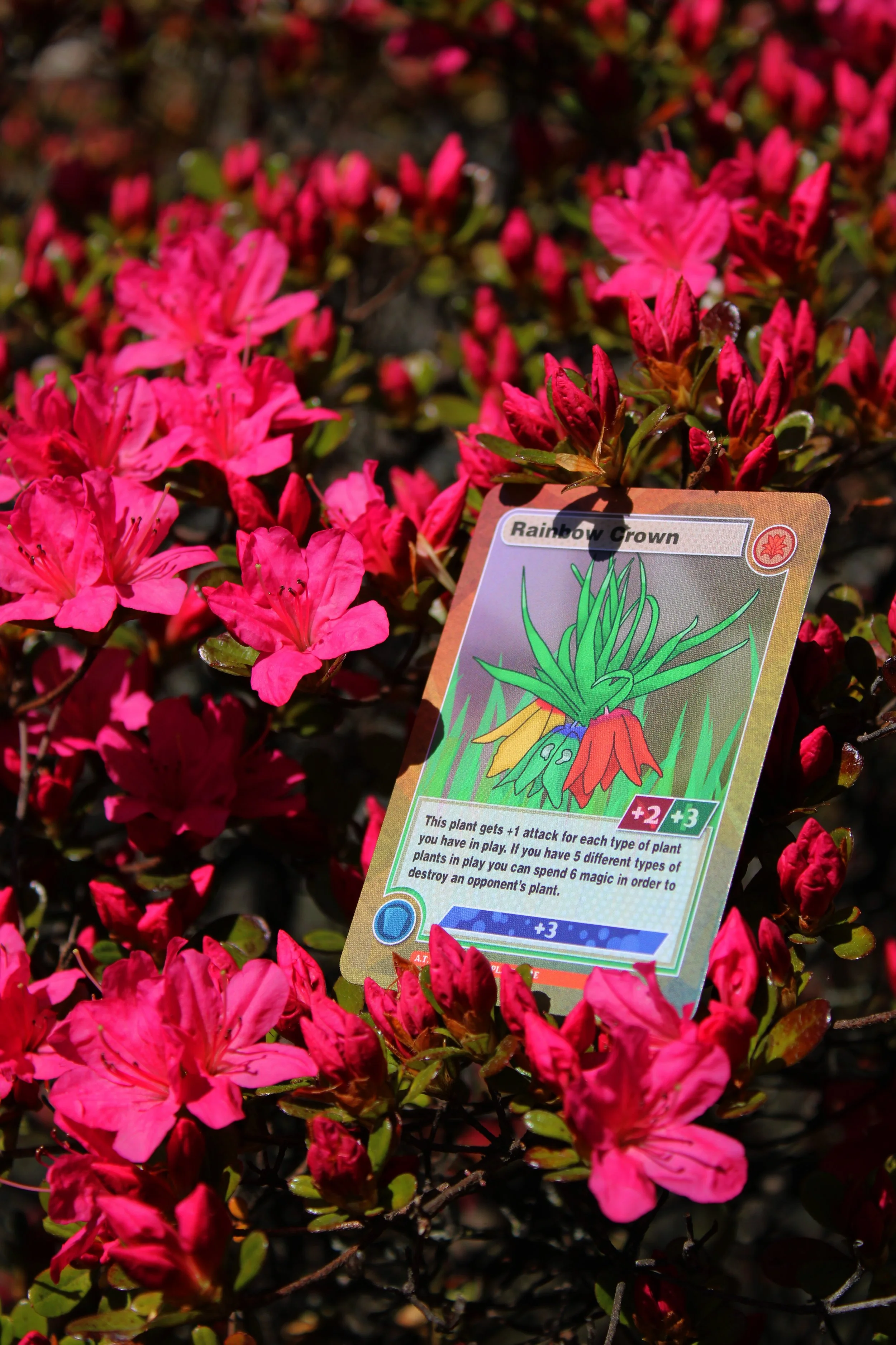 PlantfareCardShot2.jpg