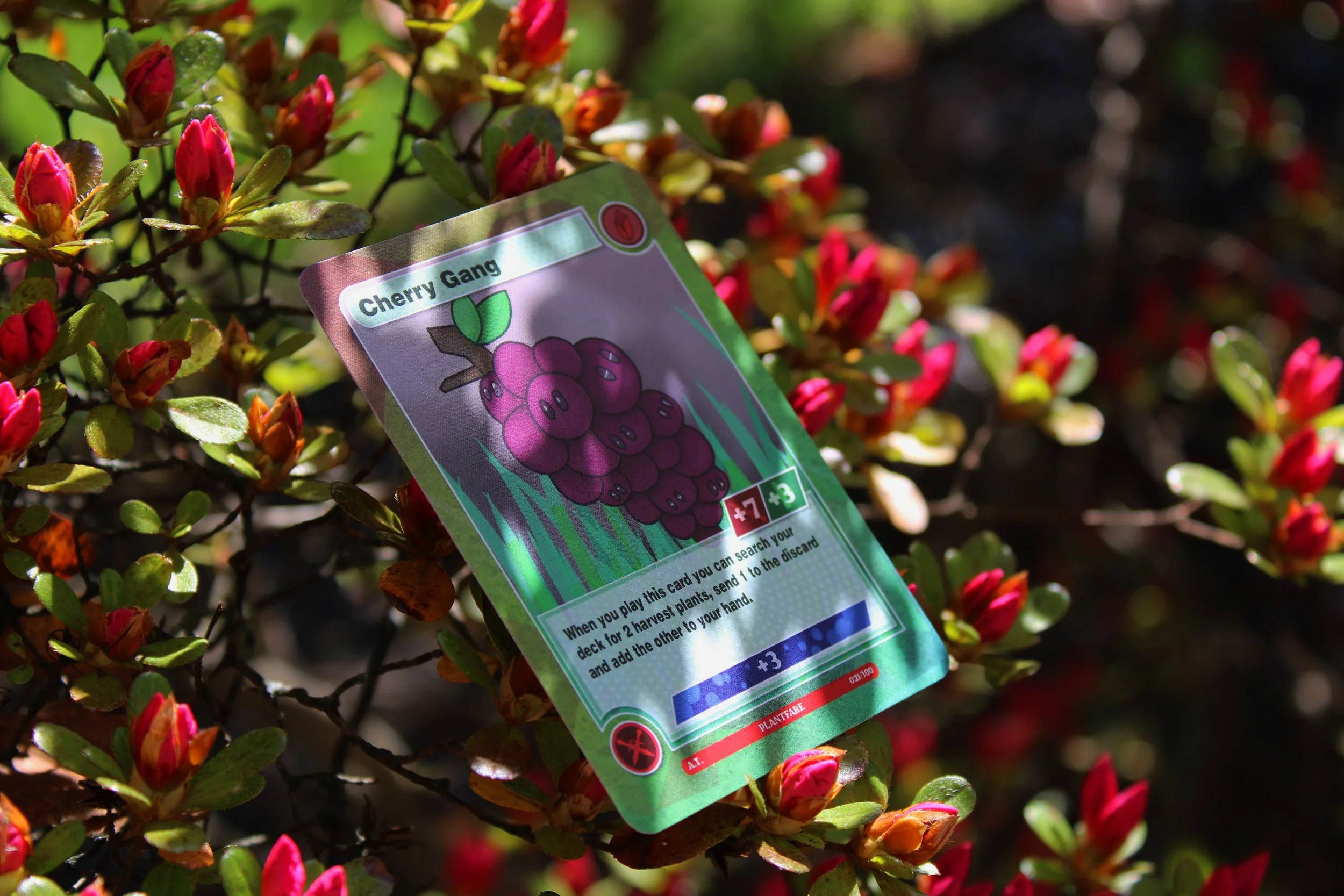 PlantfareCardShot5.jpg