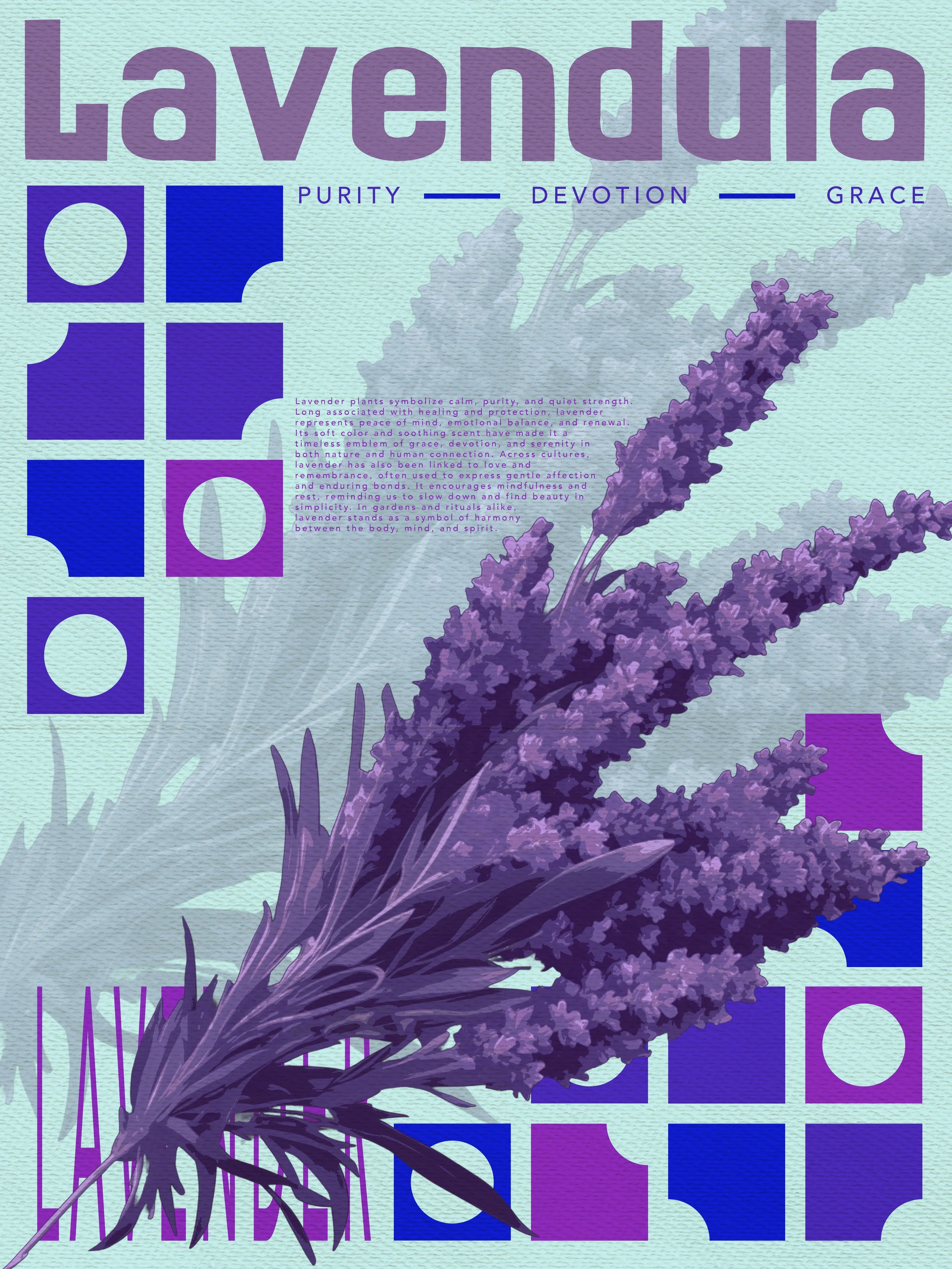 LavenderPoster.jpg