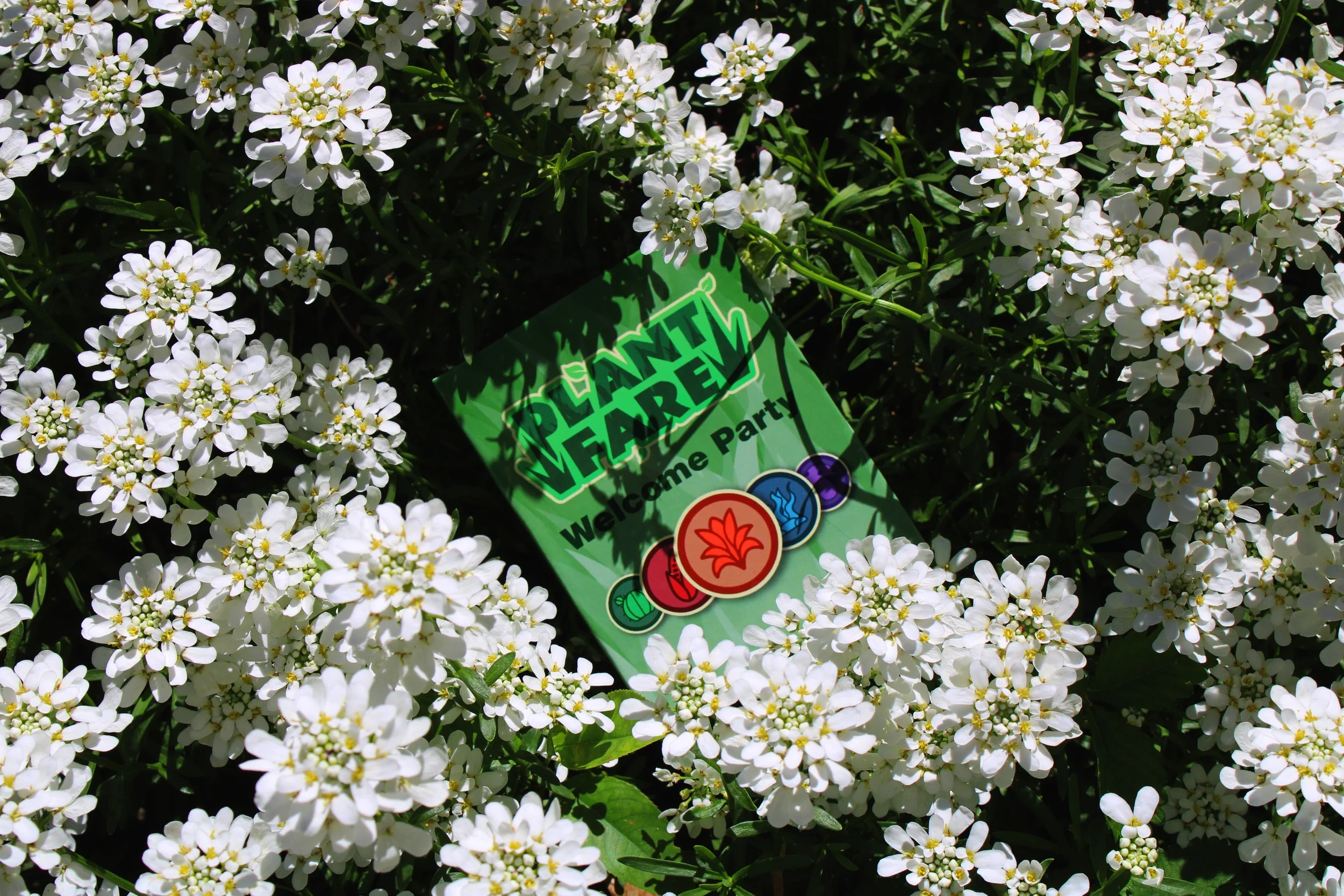 PlantfareBoxShot10.jpg
