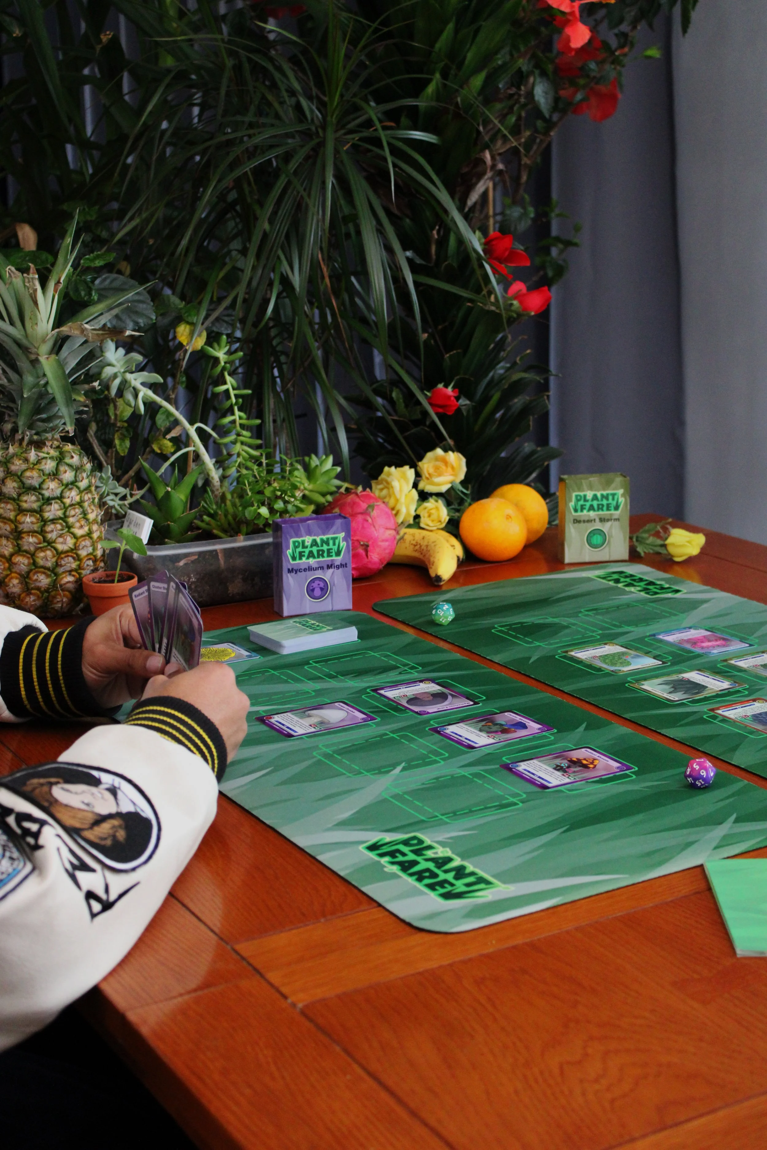 PlantfareGameplayShot8.jpg