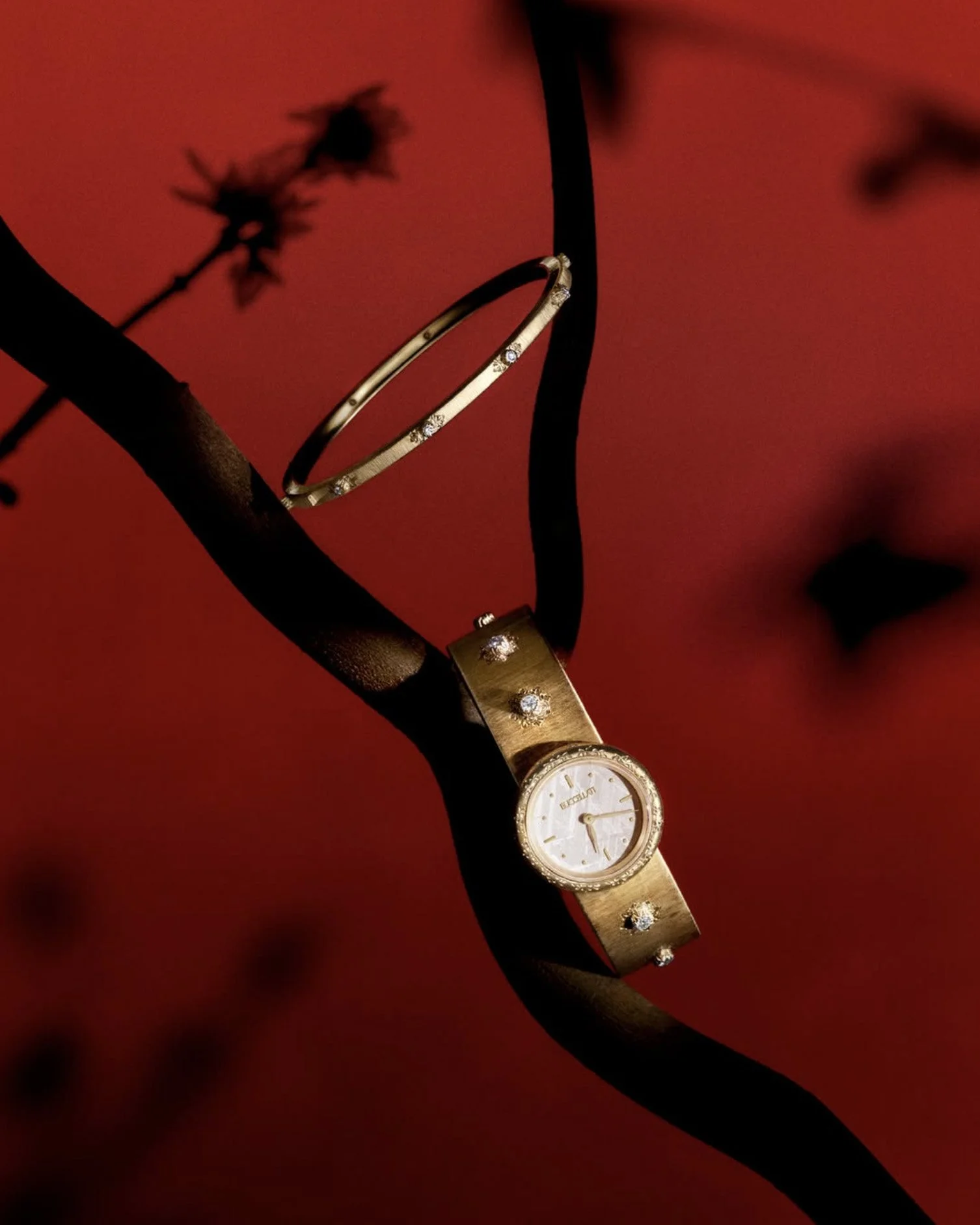 BUCCELLATI - PH. SARA ZANONI