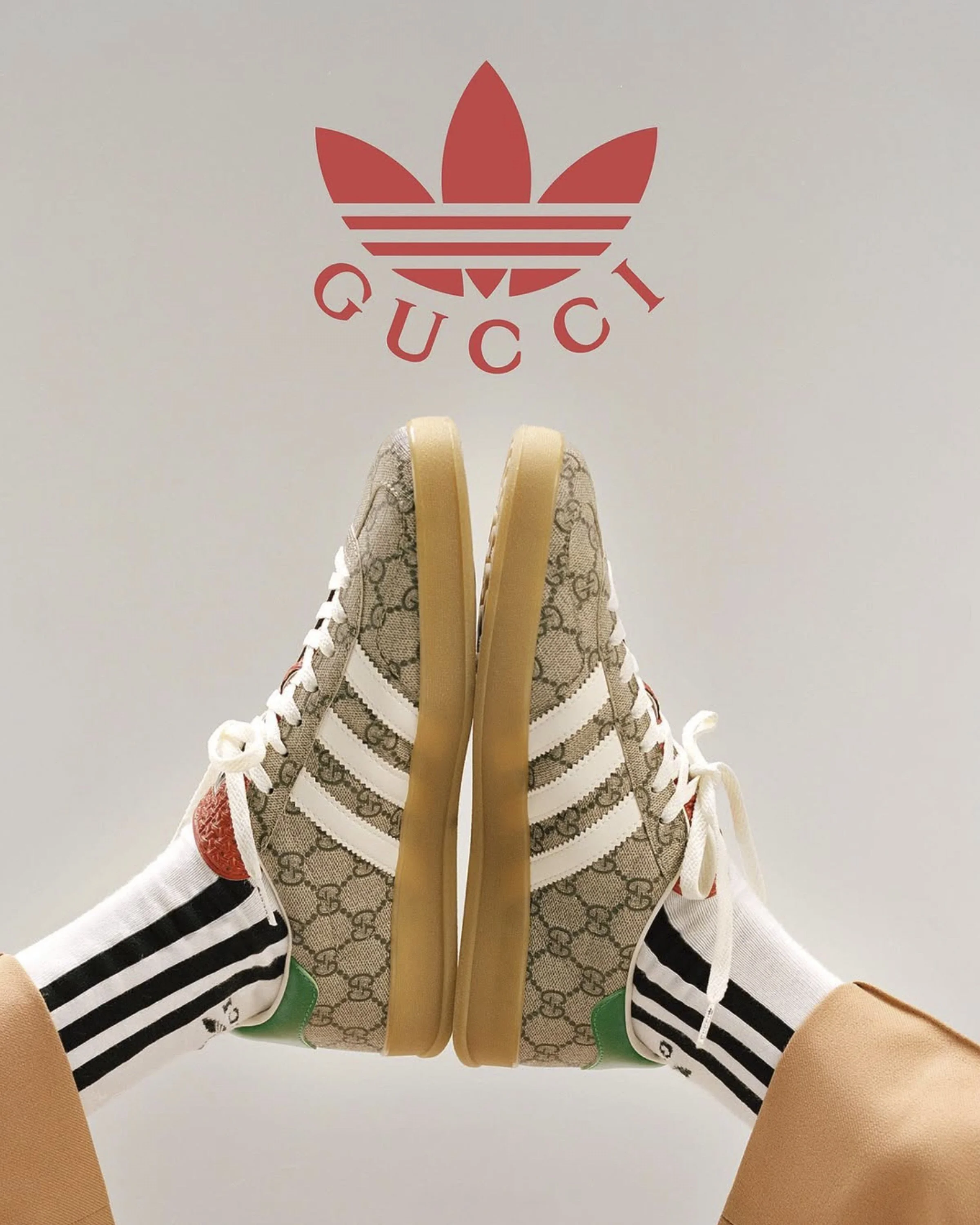 GUCCI ADIDAS - PH. MAX SIEDENTOPF