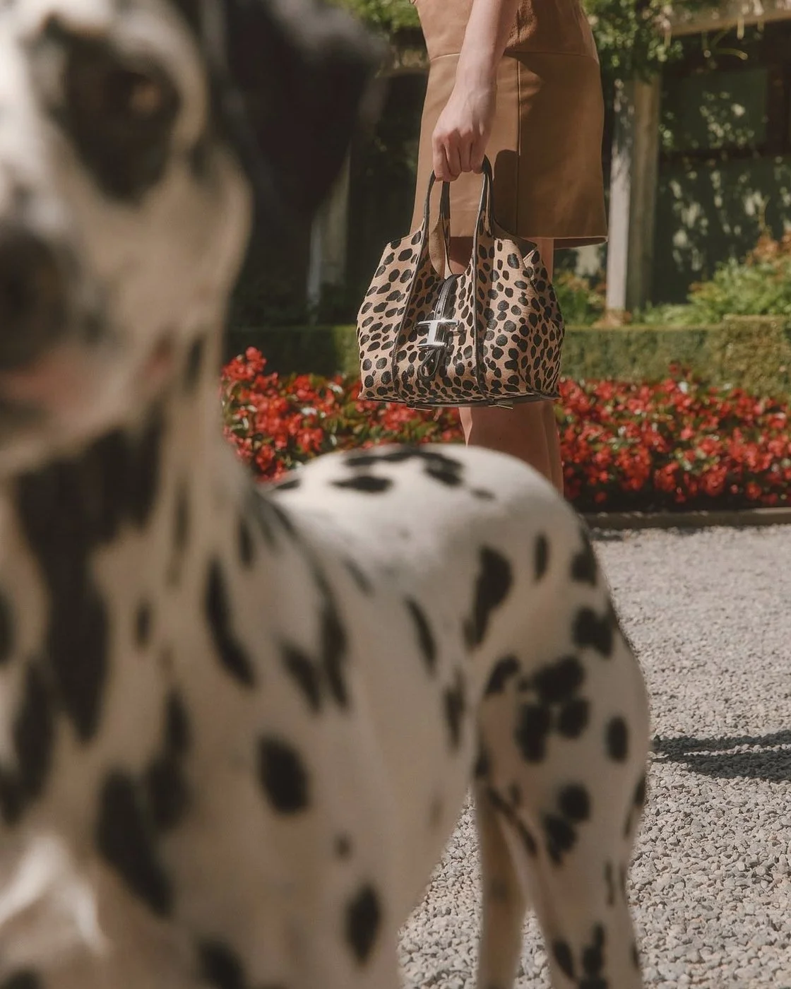 TOD'S FOREVER FRIENDS - PH. RAGAZZI NEI PARAGGI