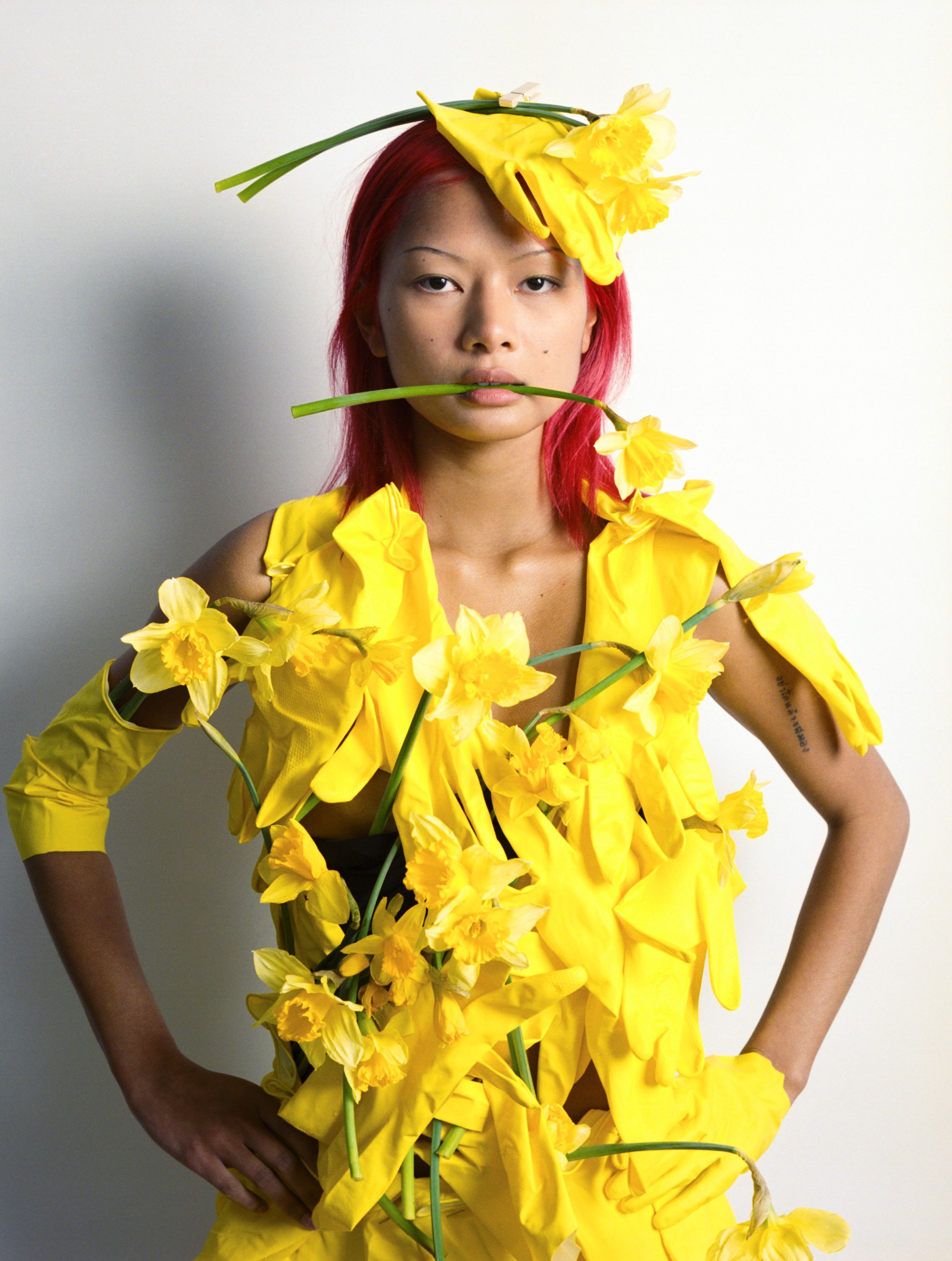 EDITORIAL MINMIE - PH. HENRY GORSE