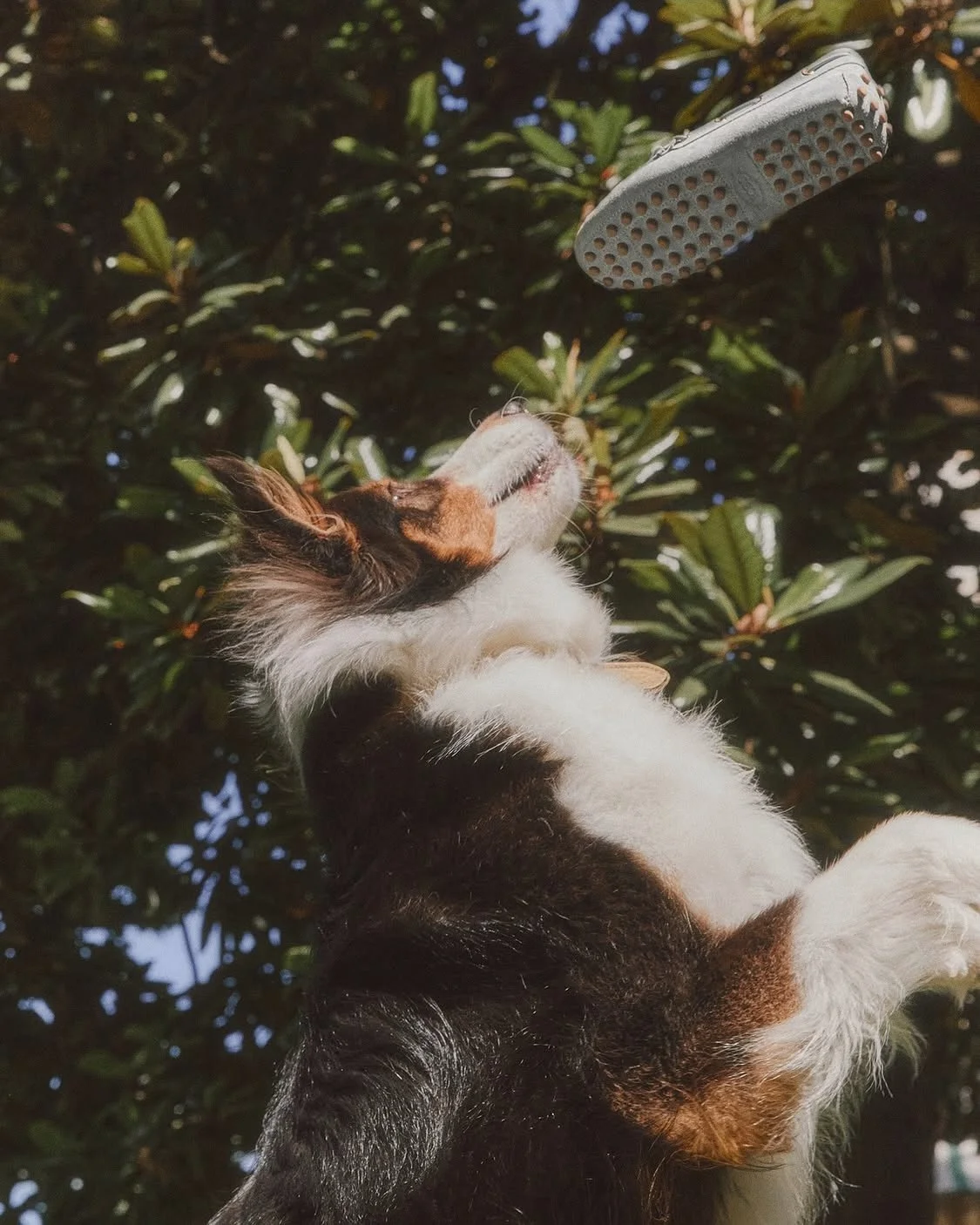 TOD'S FOREVER FRIENDS - PH. RAGAZZI NEI PARAGGI