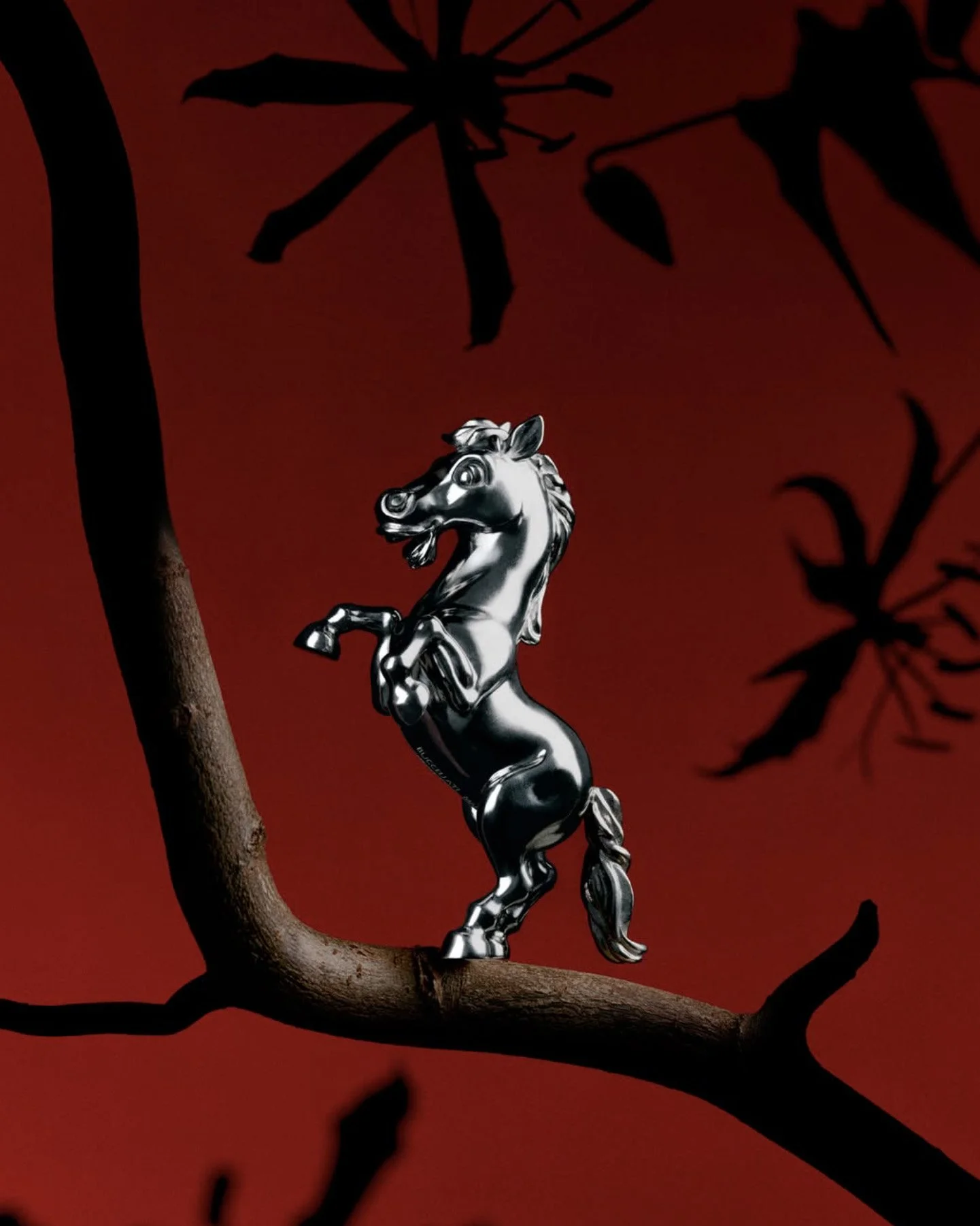 BUCCELLATI - PH. SARA ZANONI