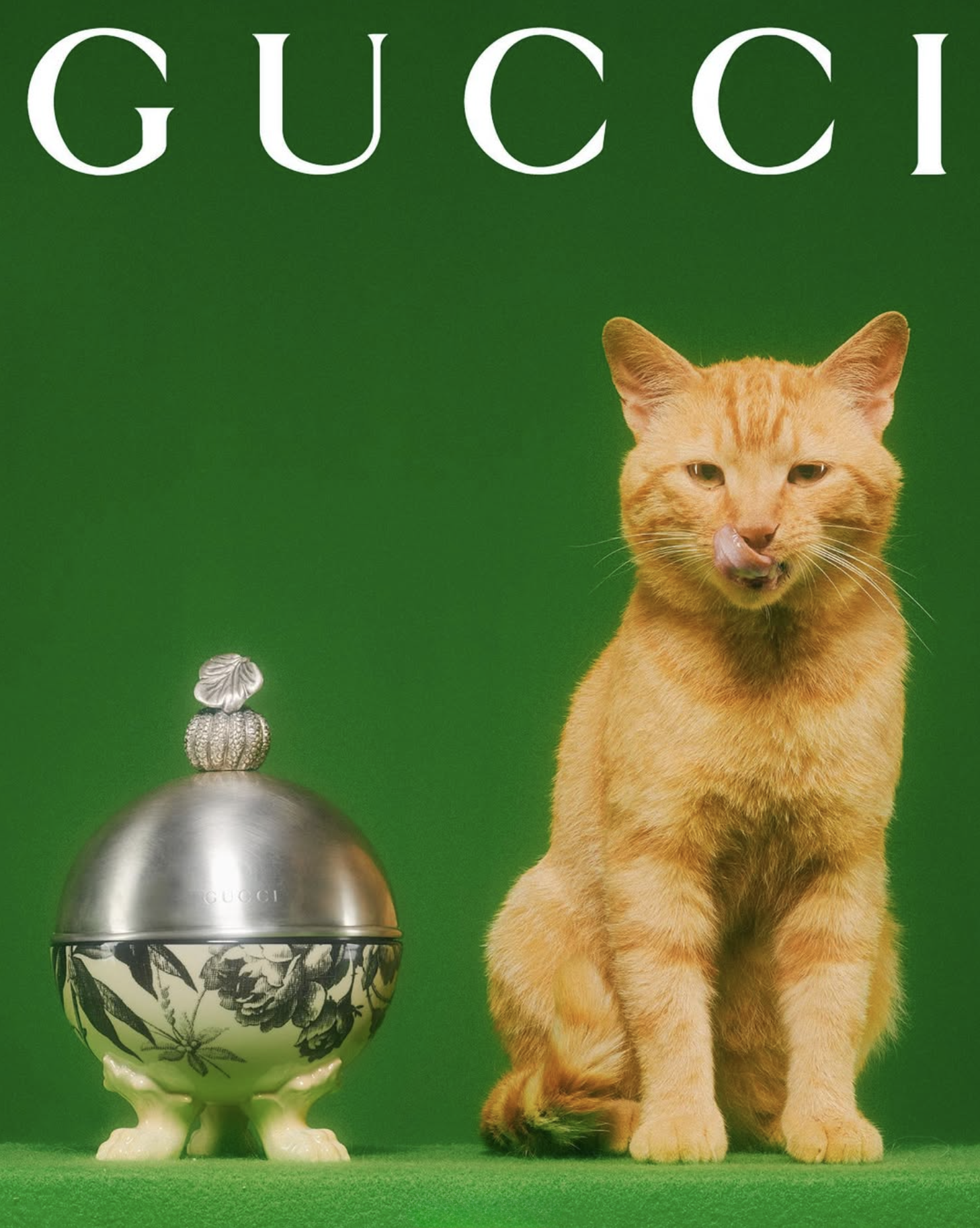 GUCCI PET - PH. MAX SIEDENTOPF