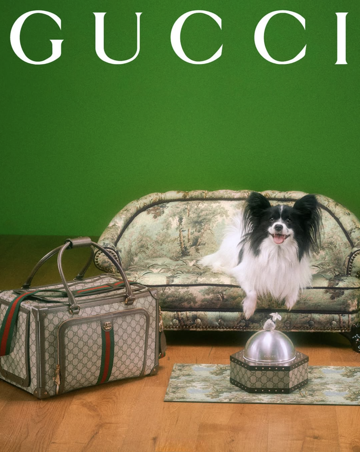 GUCCI PET - PH. MAX SIEDENTOPF